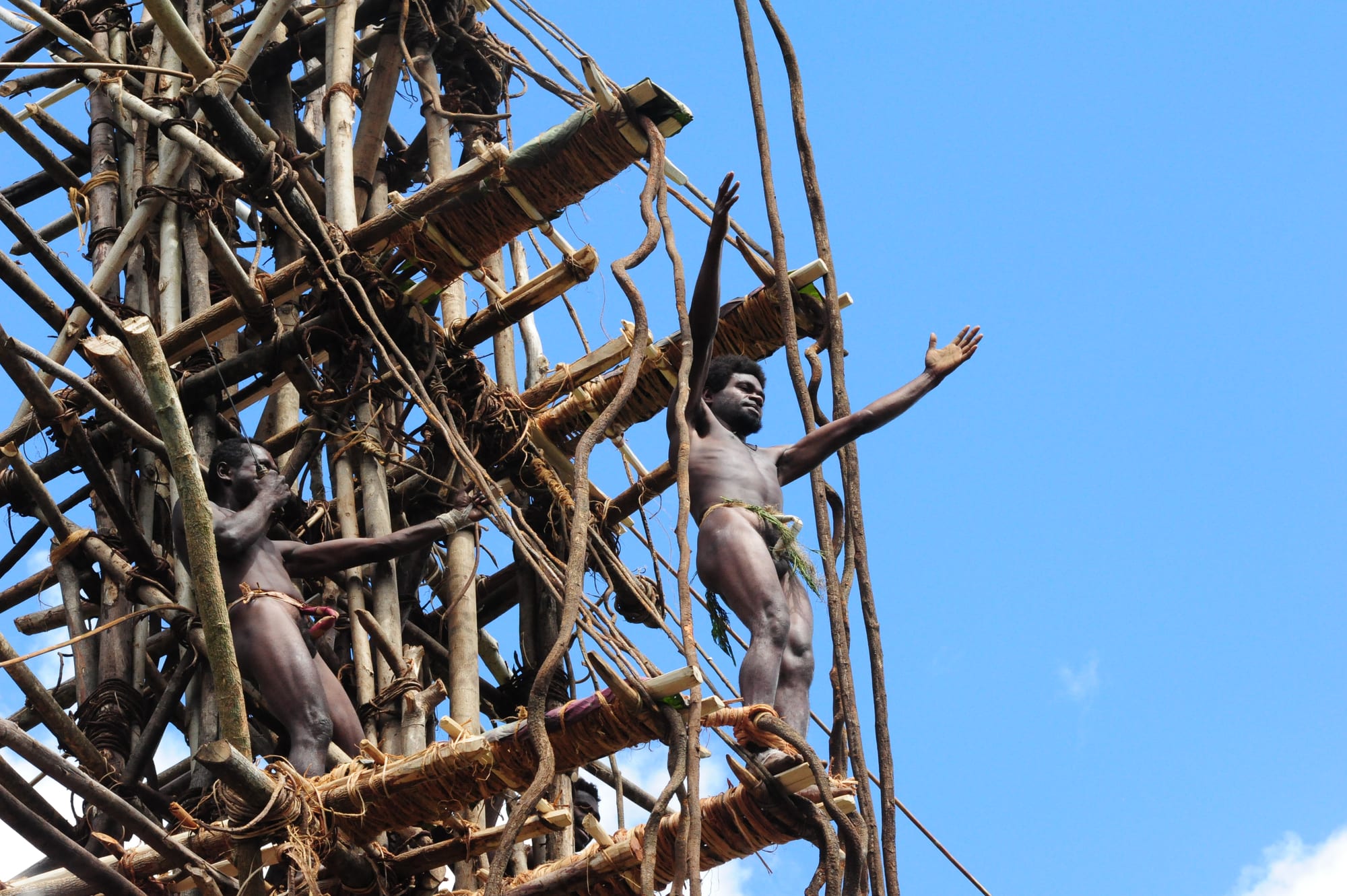 Two men standing on narrow wooden platforms jutting from a tall tower of lashed poles and vines, one with his arms raised against a blue sky