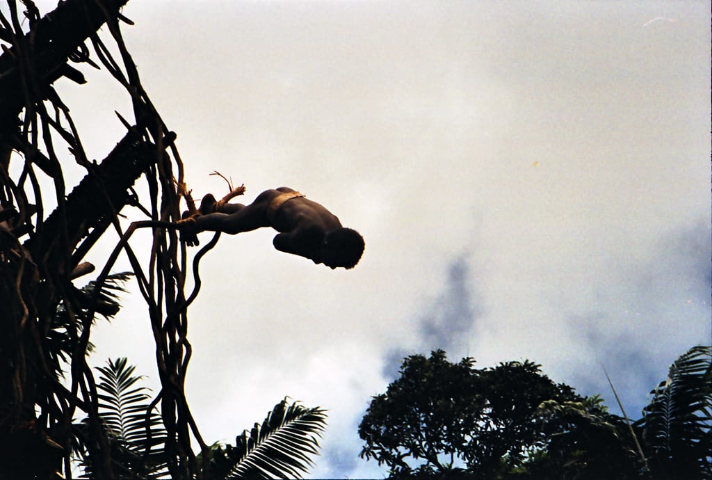 A silhouetted boy in mid-air, falling head first away from a vine-covered tower with palm fronds below
