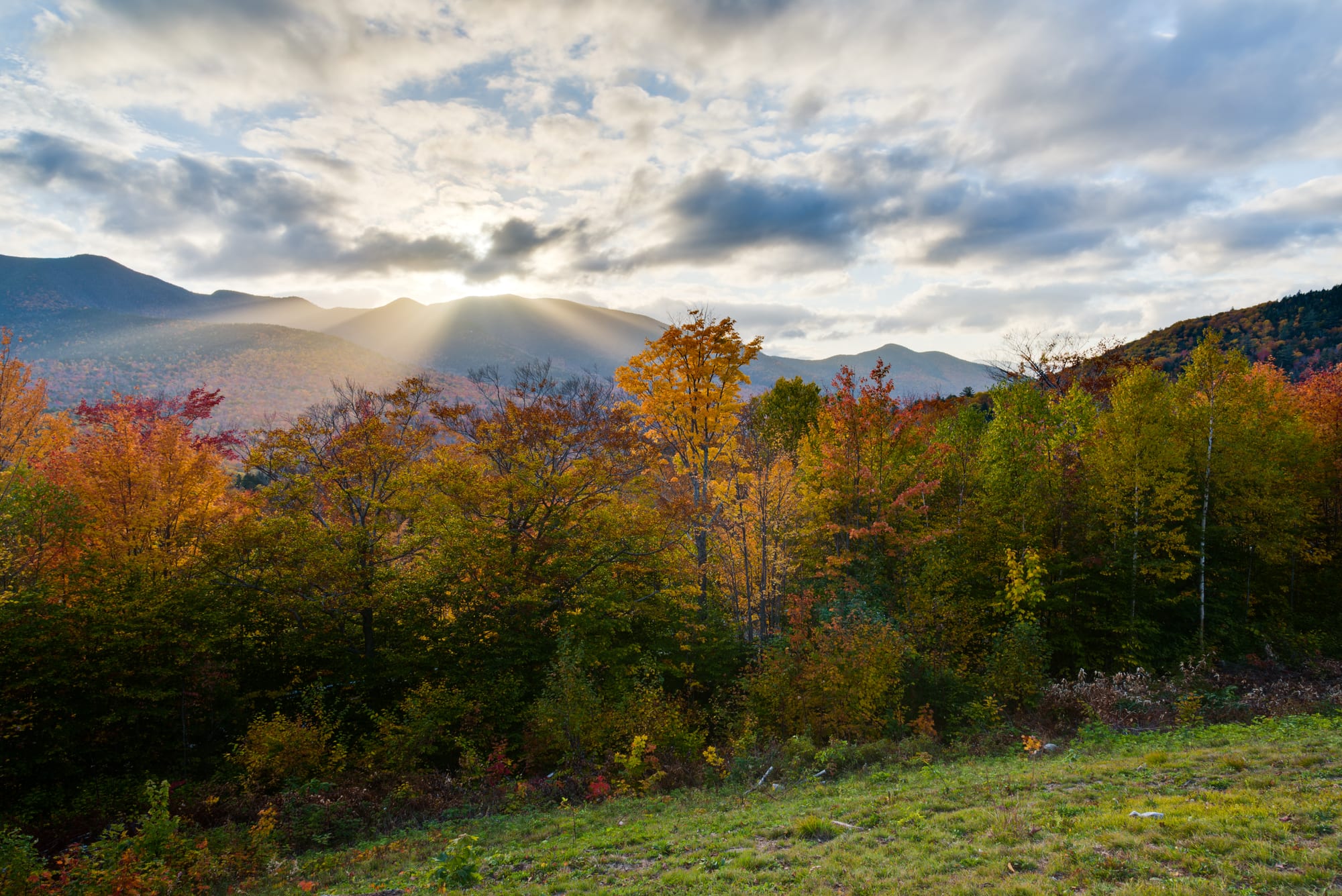 Trees in shades of orange, red, yellow and green in front of forested mountains, with low sun breaking through clouds