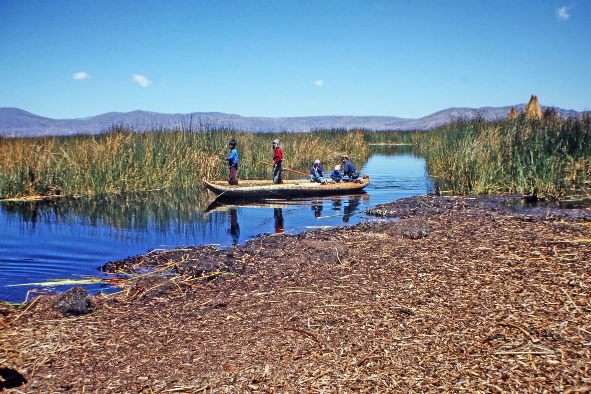 Children in a narrow reed boat on a blue channel between tall reeds, seen from the brown, matted reed surface of an island