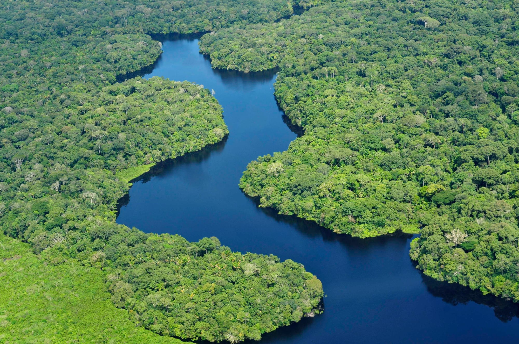 A dark river winding through unbroken green forest seen from the air