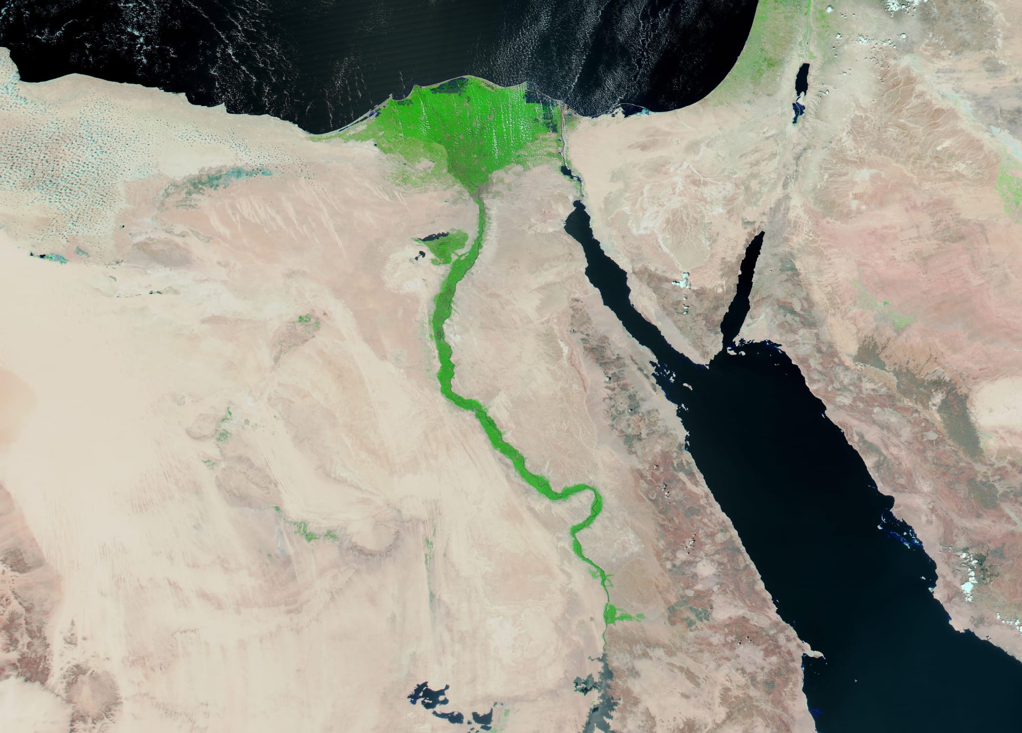 A thin green ribbon of river valley running north through pale desert to a fan-shaped green delta on the sea