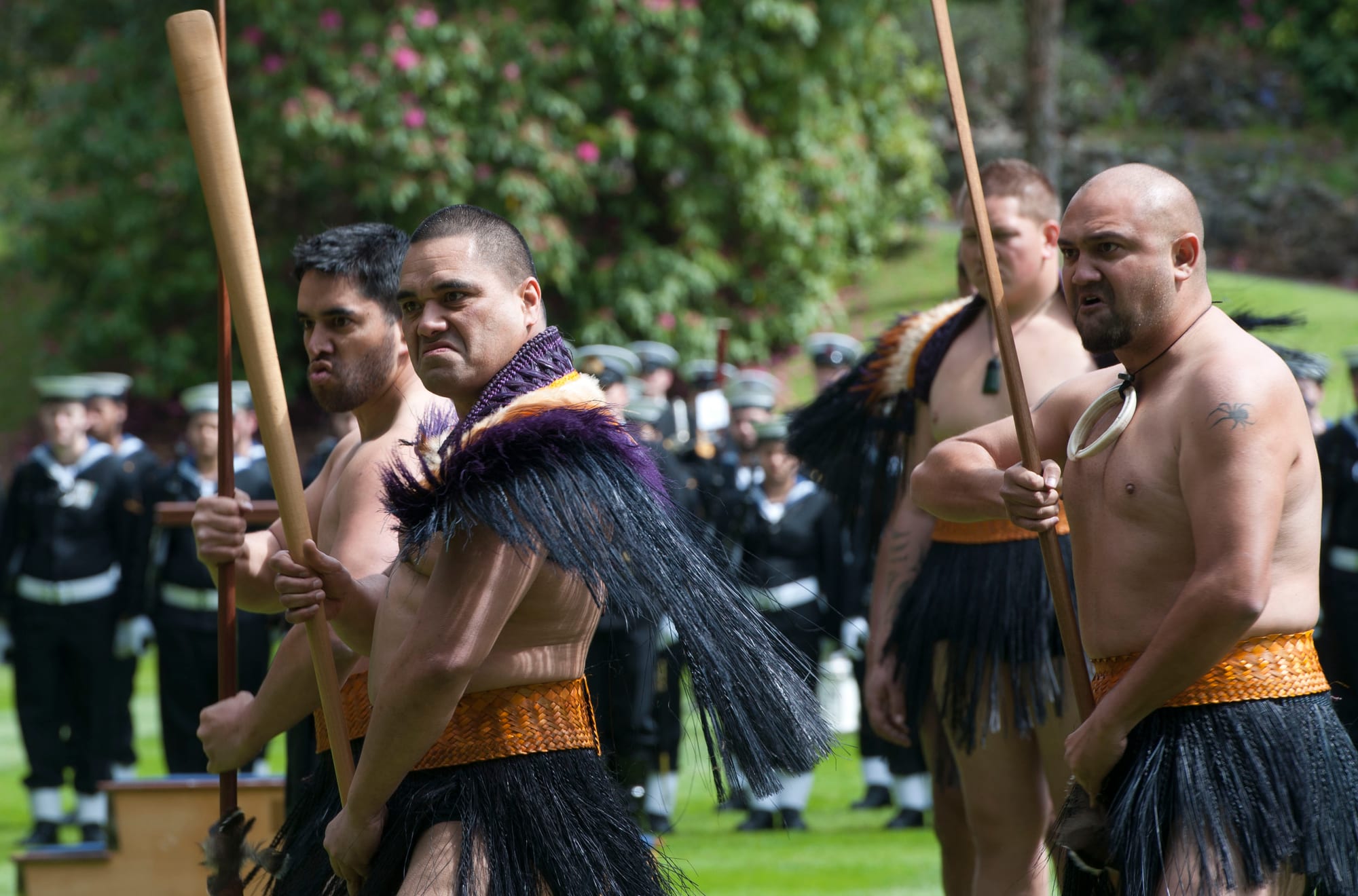 Bare-chested Māori men in flax skirts and feather cloaks holding wooden staffs and grimacing fiercely