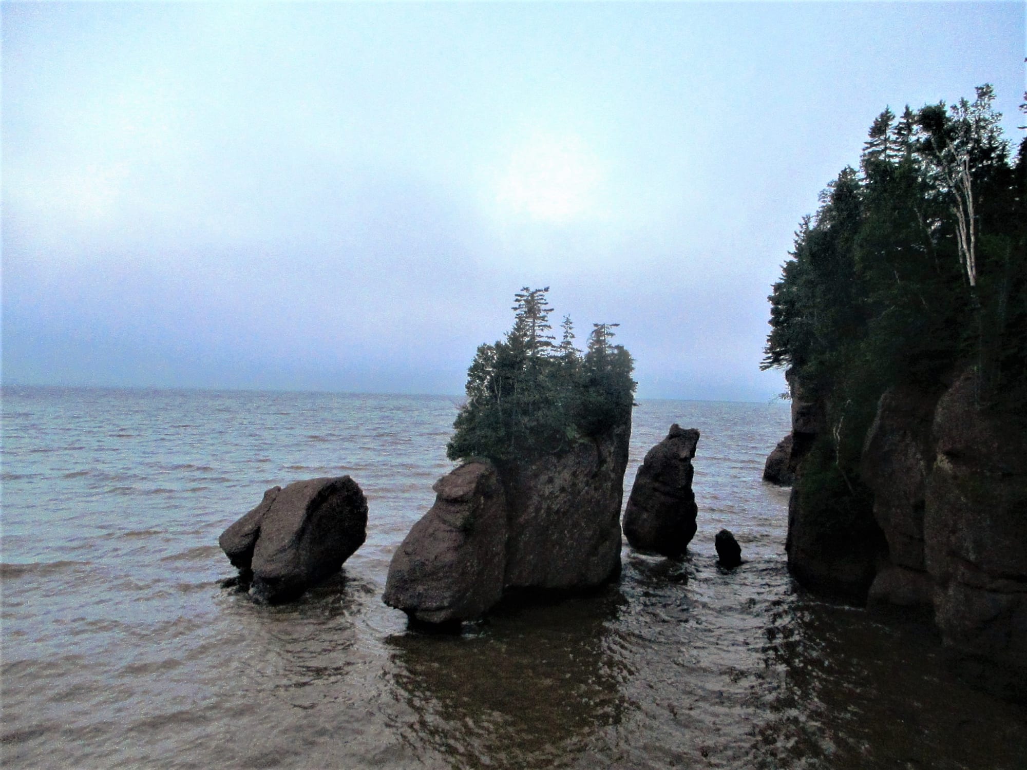Tree-topped rock pillars standing in grey water at the foot of a forested cliff, under an overcast sky