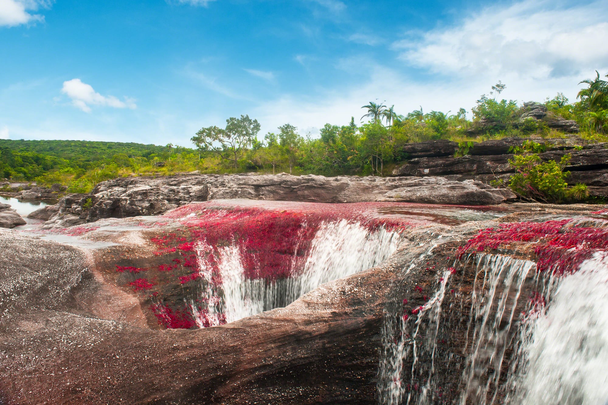 Water pouring over smooth grey rock into a round hole, with bright red plants covering the rock around it, under a blue sky with green forest behind