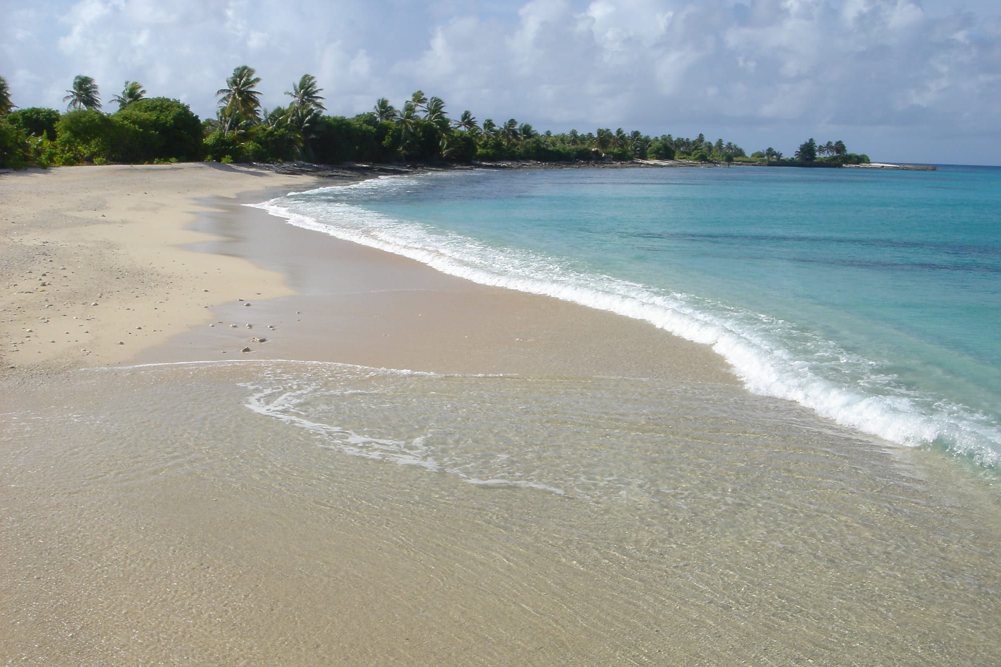 An empty curving beach of pale sand beside clear turquoise water, backed by palm trees and dense green bush