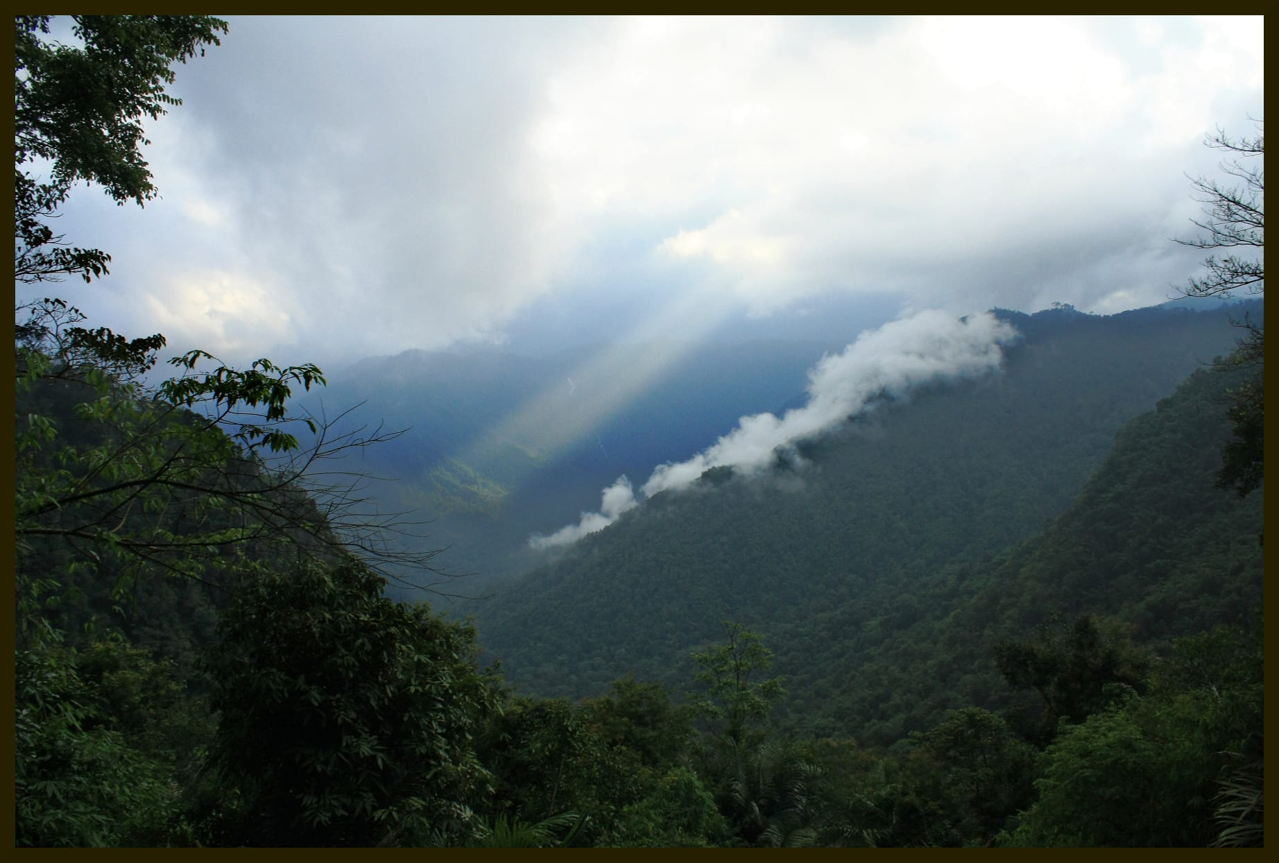 A forested mountain valley with a long strip of white cloud lying along one slope and sunbeams breaking through grey sky