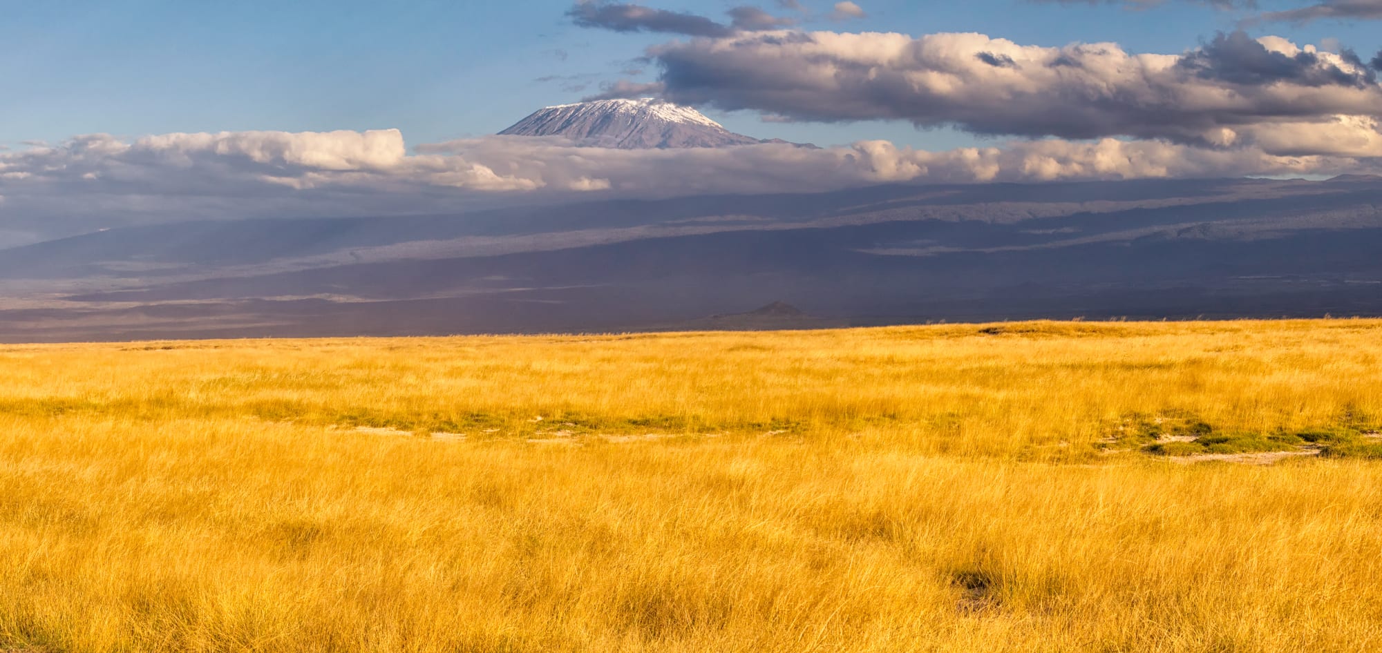 A broad, snow-capped volcanic peak rising above a band of cloud over a golden grassy plain