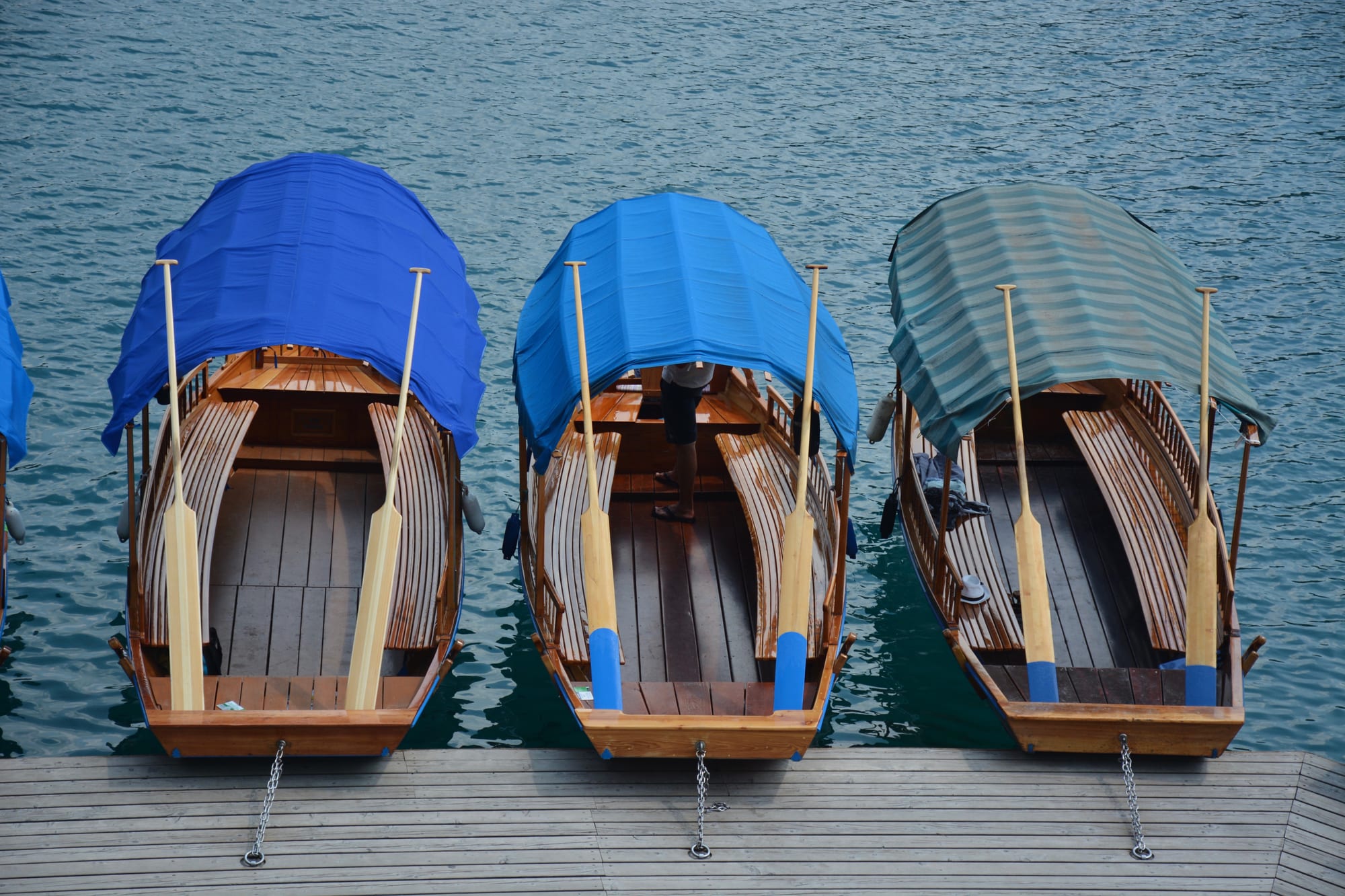 Three wooden rowing boats with blue and green canopies and long oars moored side by side at a wooden jetty