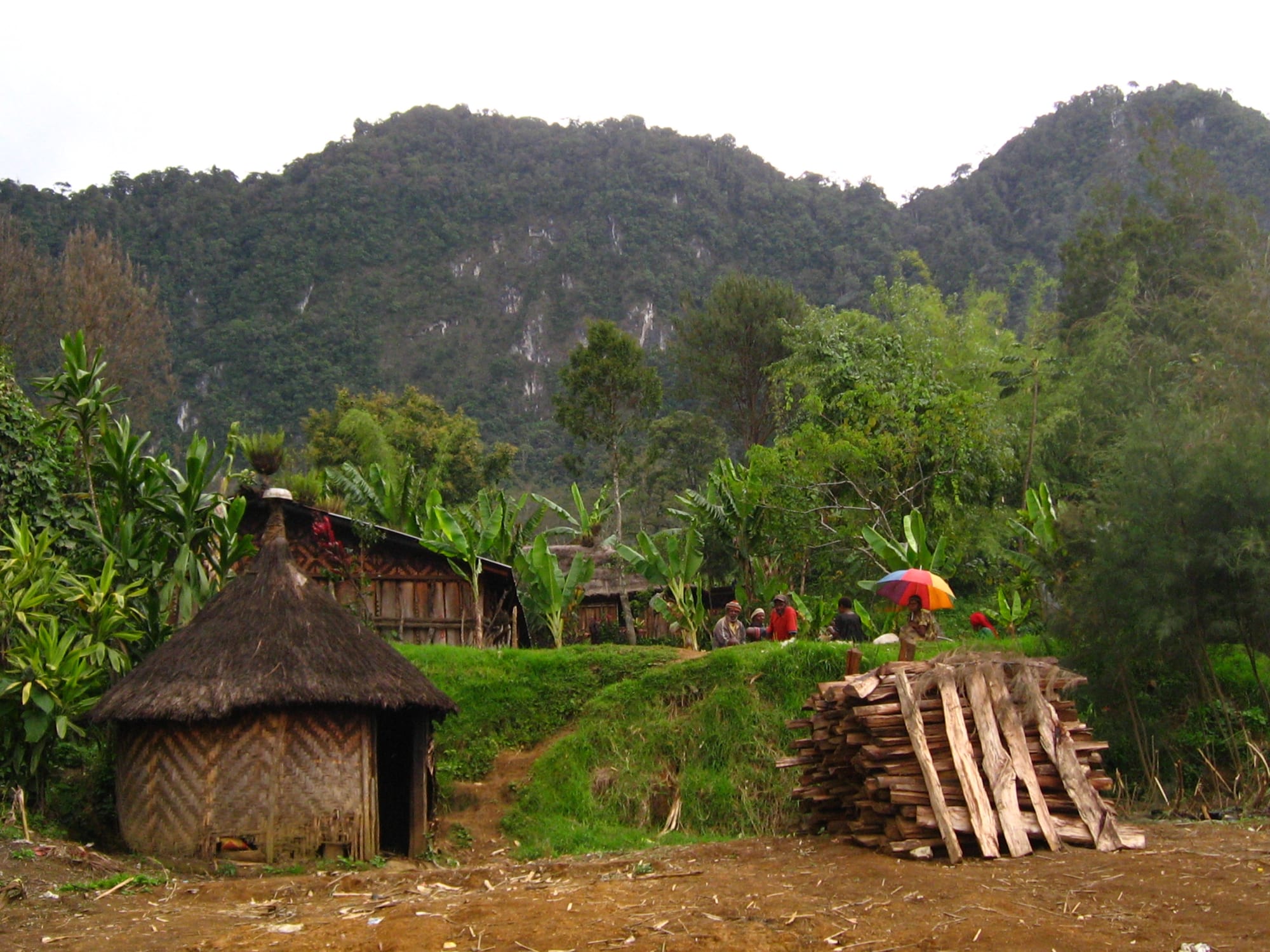 A round thatched hut and stacked timber in a clearing below steep, forested limestone hills