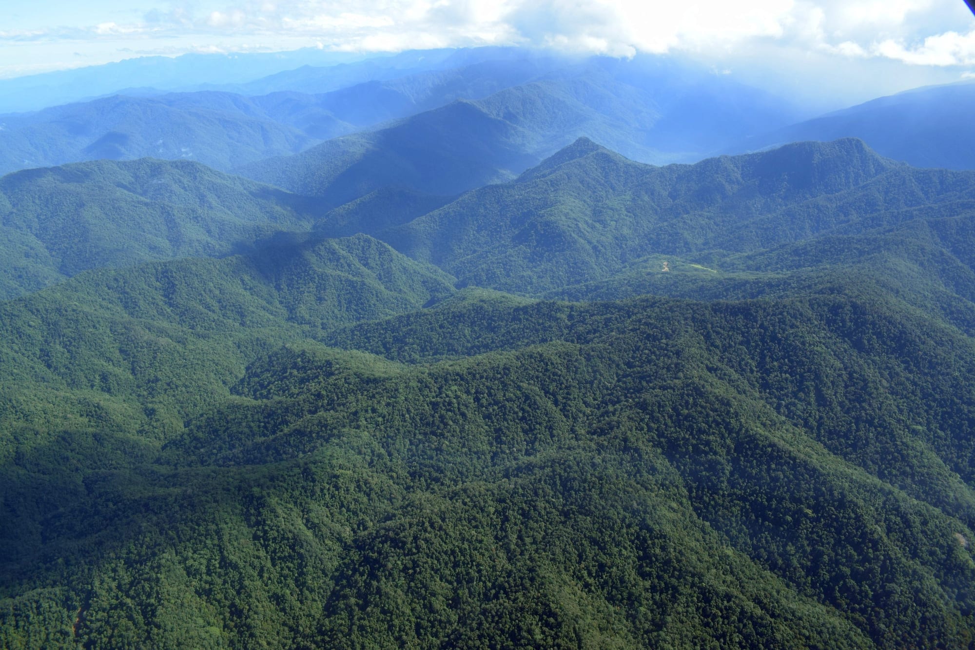 Ridge after ridge of steep, forest-covered mountains seen from the air under cloud