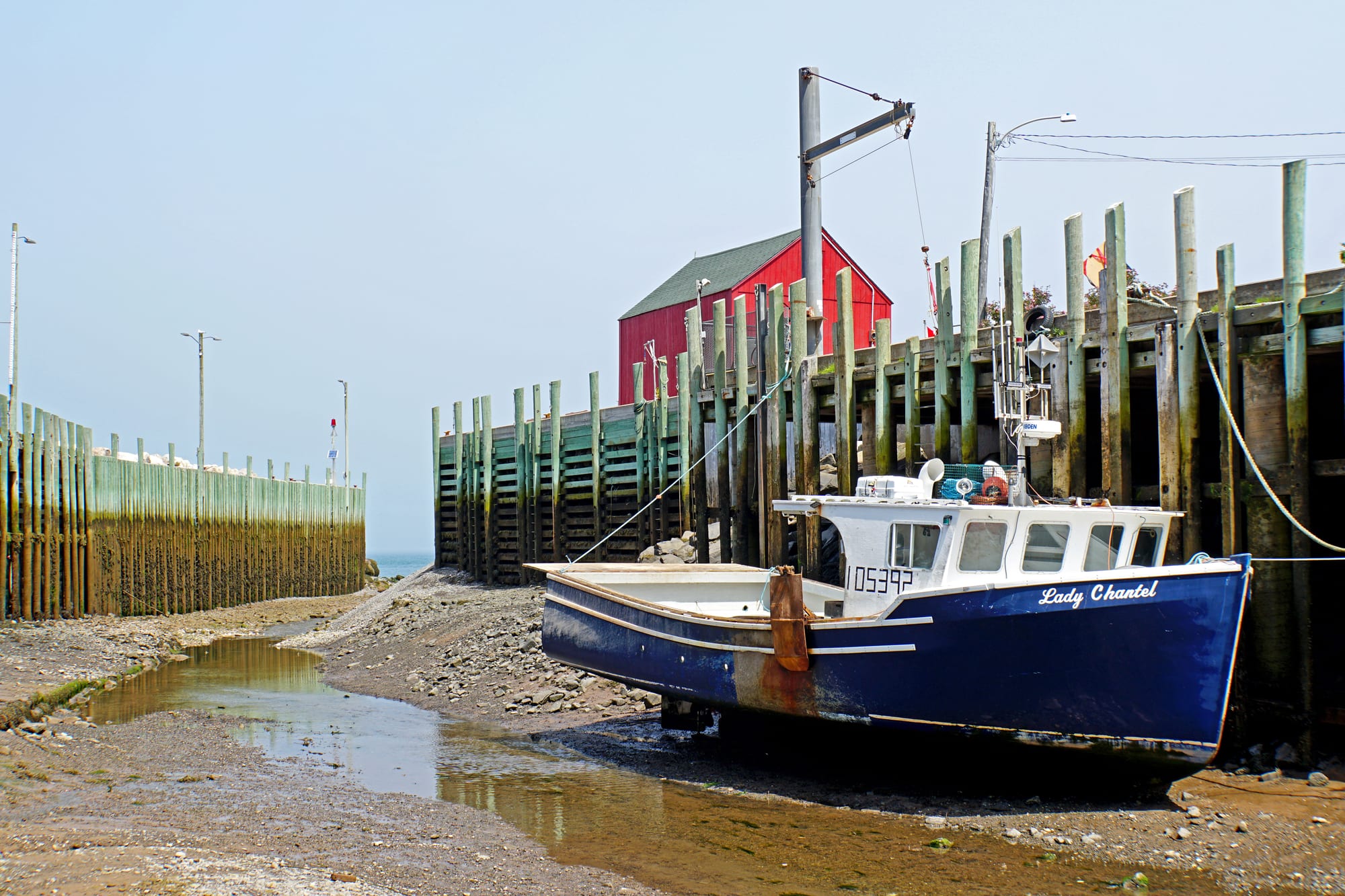 A blue and white fishing boat resting on a gravel and mud seabed beside a towering wooden wharf, with a red shed above