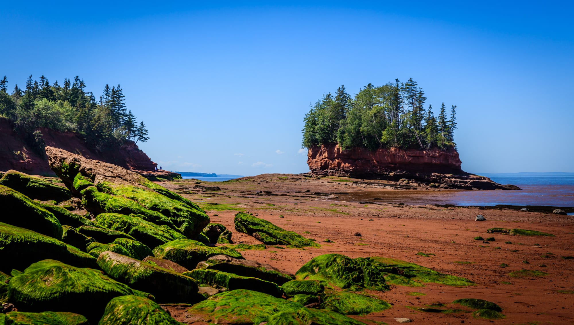 A wide red mud and sand seabed exposed at low tide, with green weed-covered boulders in front and a tree-topped red rock islet standing on the dry floor