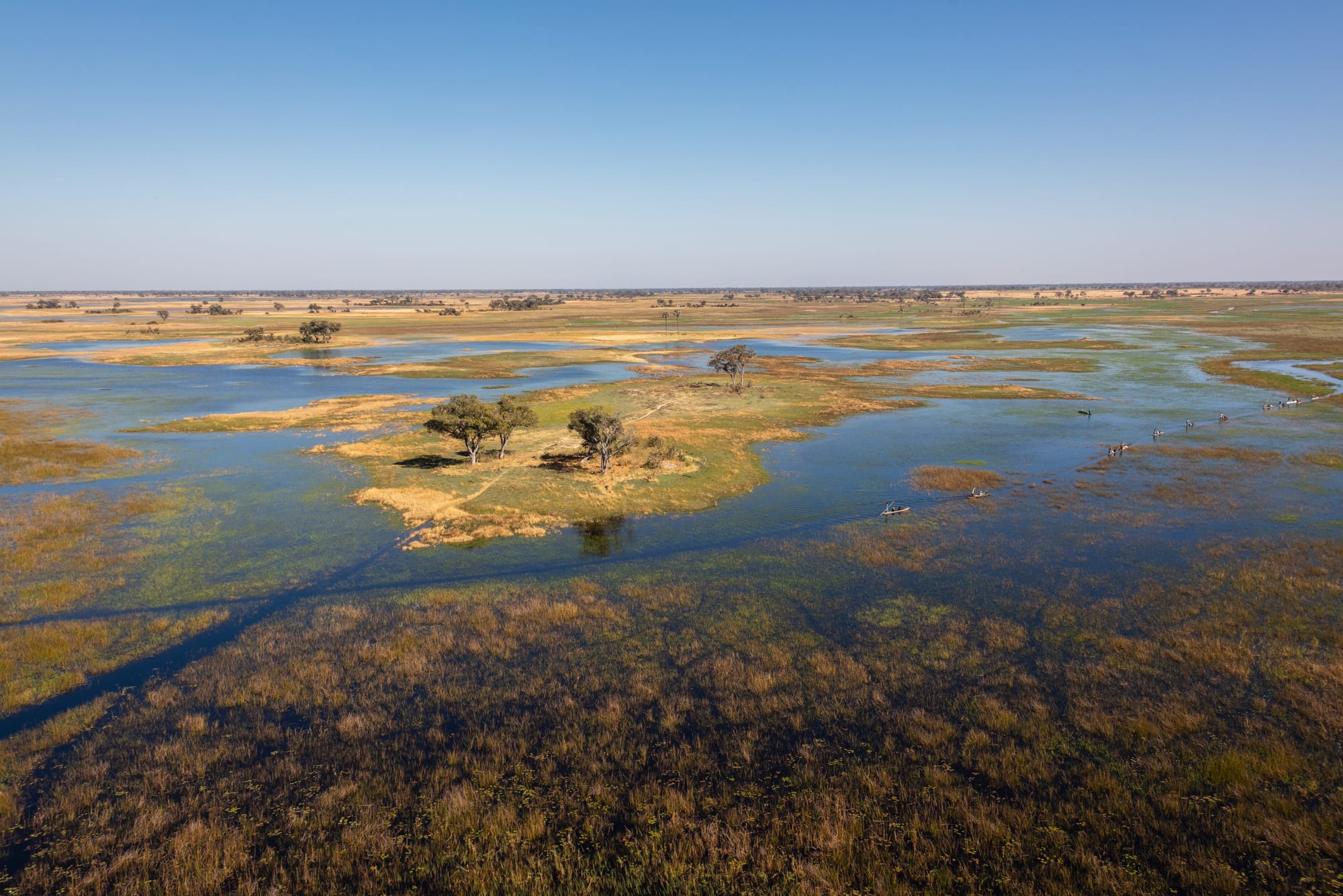 A flat wetland of blue channels and golden grass seen from the air, with a small tree-covered island in the middle and a line of dugout canoes crossing the water