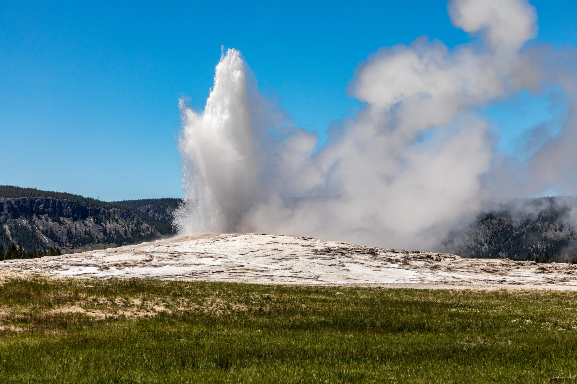 A tall white column of water and steam shooting up from a pale mound of mineral crust, with green grass in front and forested hills under a blue sky