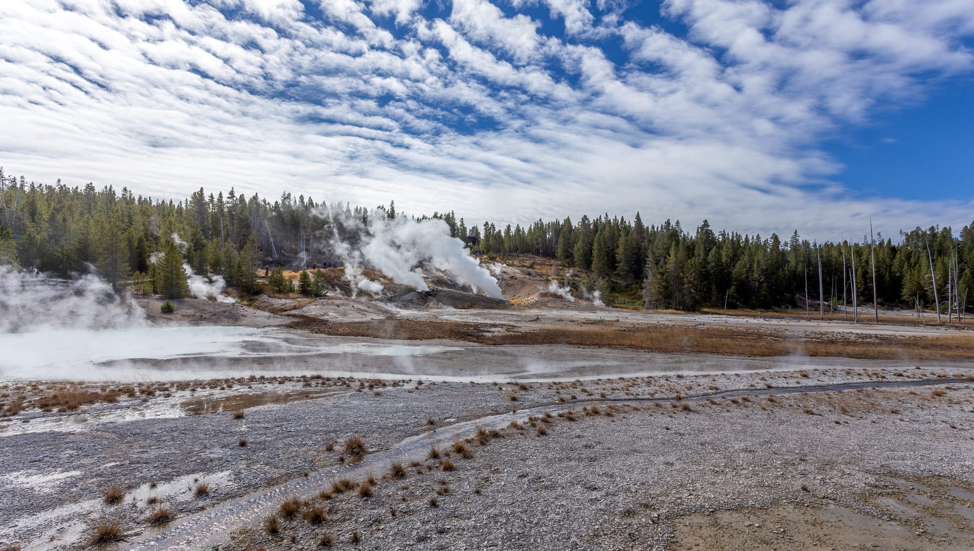 A broad, pale, steaming basin of bare mineral ground with plumes of steam rising among pine forest under a cloud-streaked sky