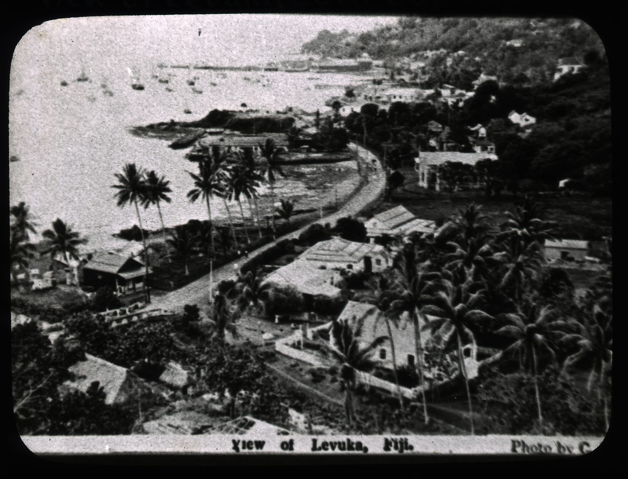 An old black-and-white photograph of a palm-lined coastal road with houses and ships anchored in a bay