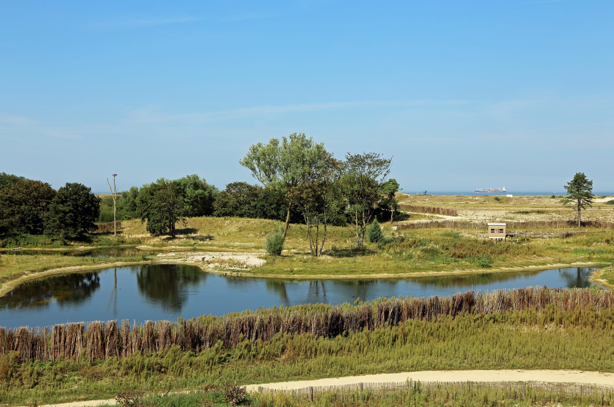 A pond and grassy salt meadows with scattered trees in flat coastal land, with a large ship far out on the sea at the horizon