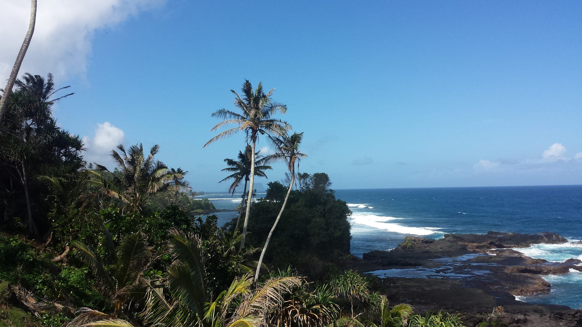 Tall coconut palms on a green headland above dark volcanic rocks and white surf on a deep blue sea