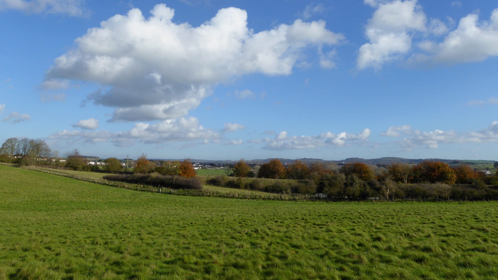 A broad grassy field dipping into a shallow hollow, with hedges, autumn trees and distant downs under a blue sky with white clouds