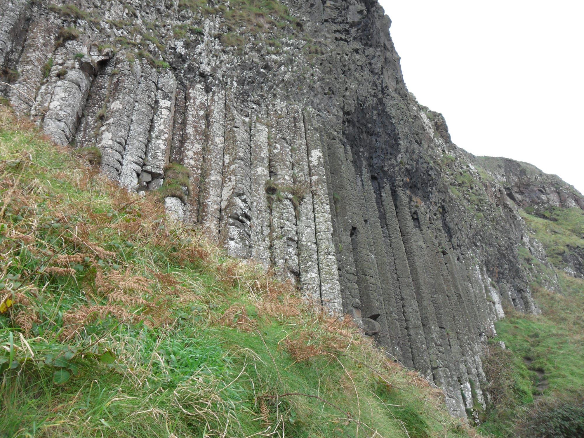 A grey cliff face made of long, straight, vertical stone columns standing side by side above a grassy slope