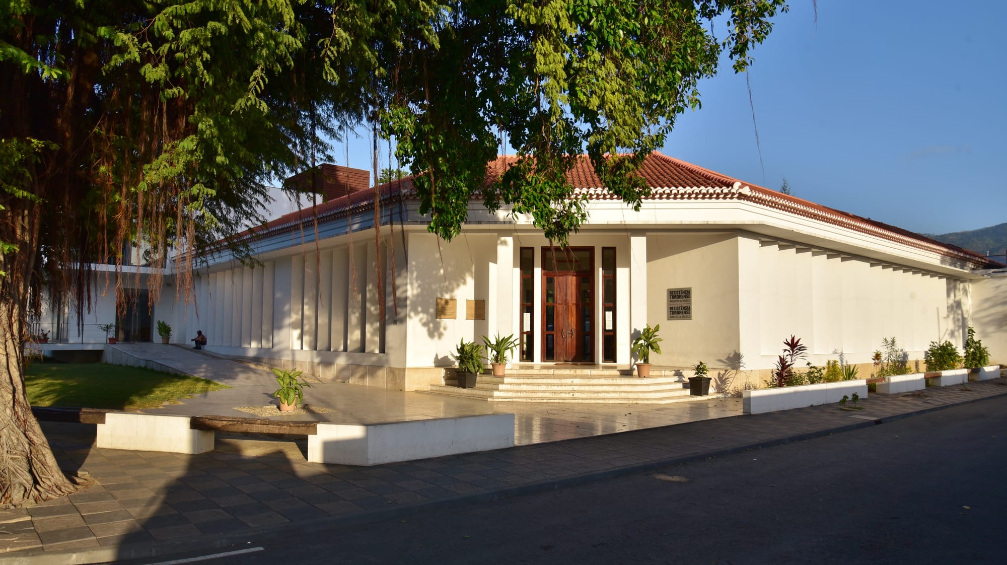 A low white building with a red tiled roof and wooden doors, shaded by a large banyan tree in late afternoon light
