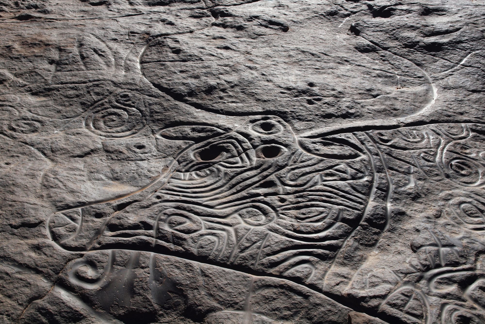 A large engraving of a buffalo-like animal with huge curving horns, cut in swirling lines into dark rock