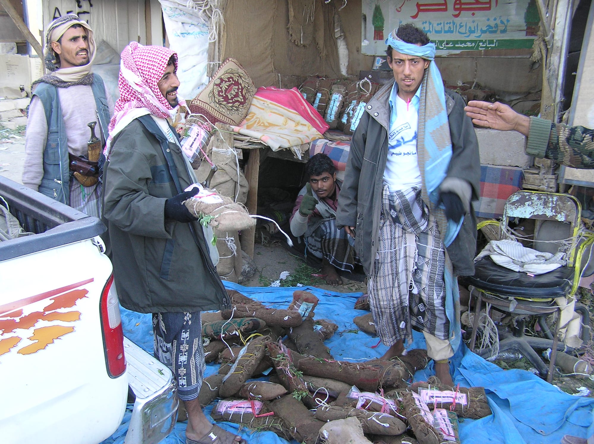 Men at an open-air qat market in Yemen with bundles of qat leaves laid out on a blue tarpaulin