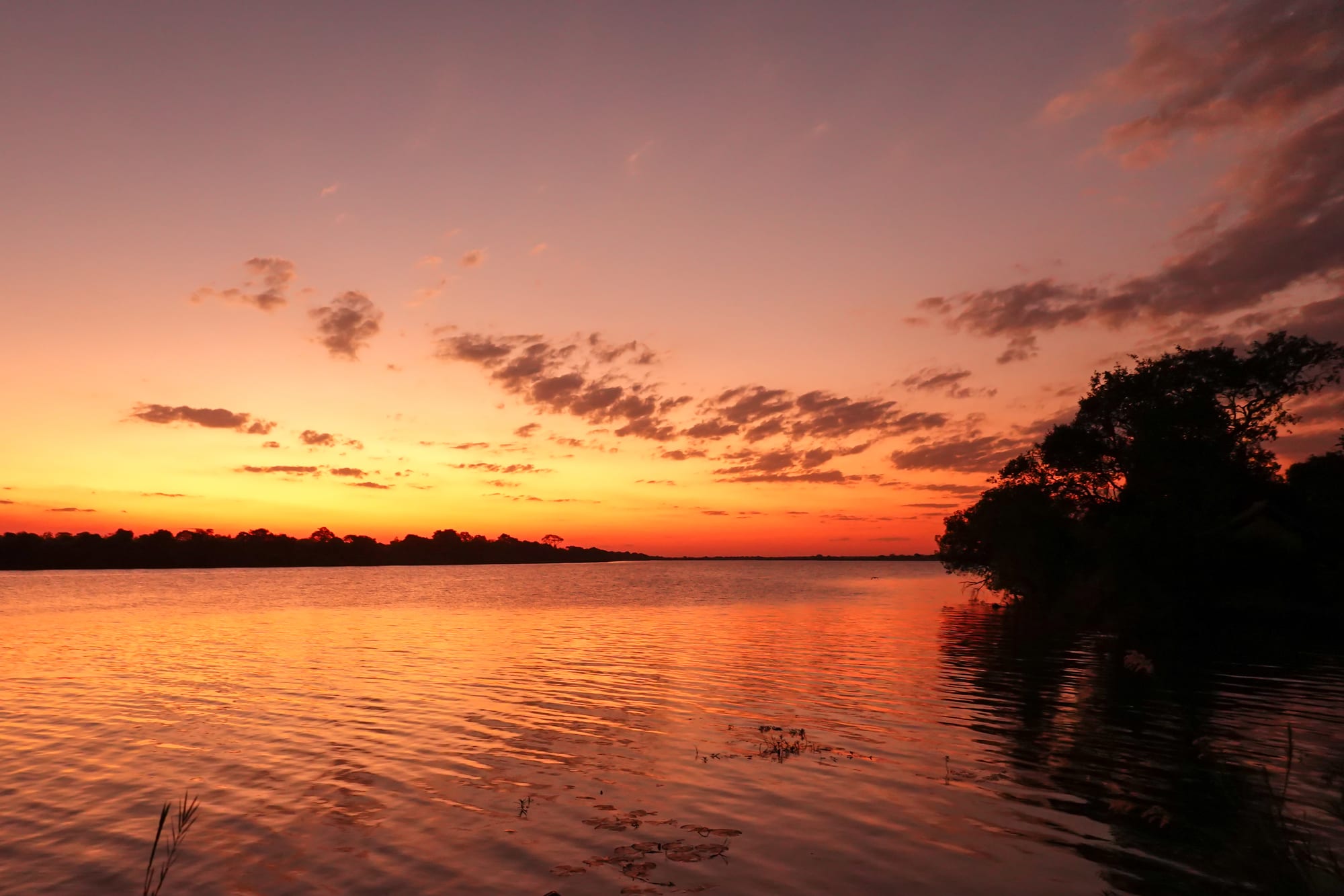 A wide river at sunset, silhouetted trees along the far bank
