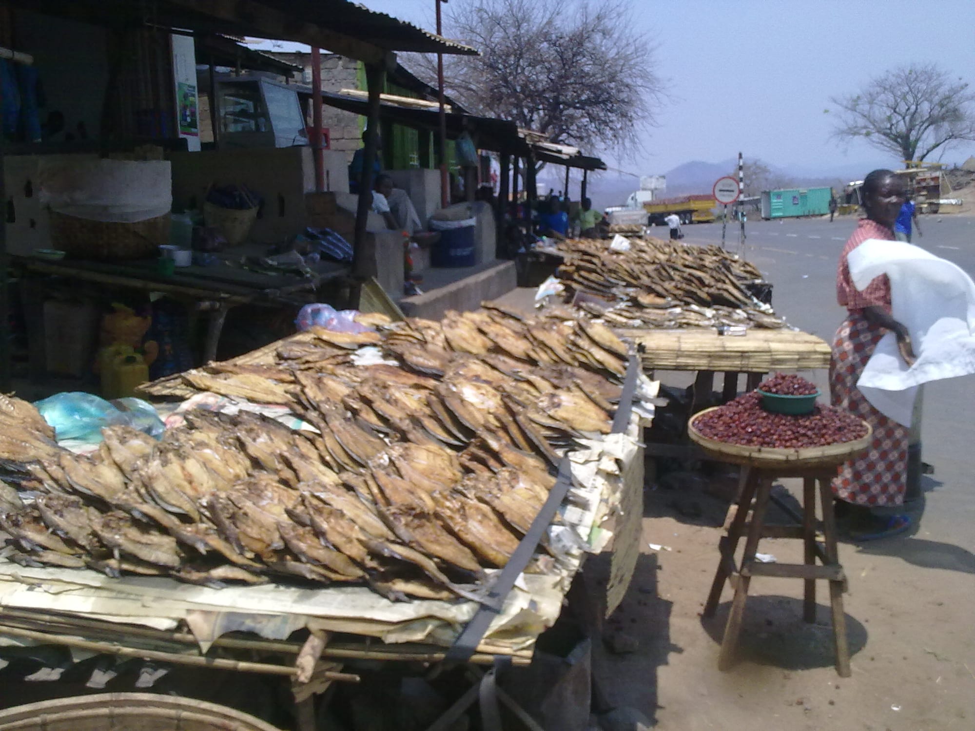 Rows of dried fish laid out for sale at a market
