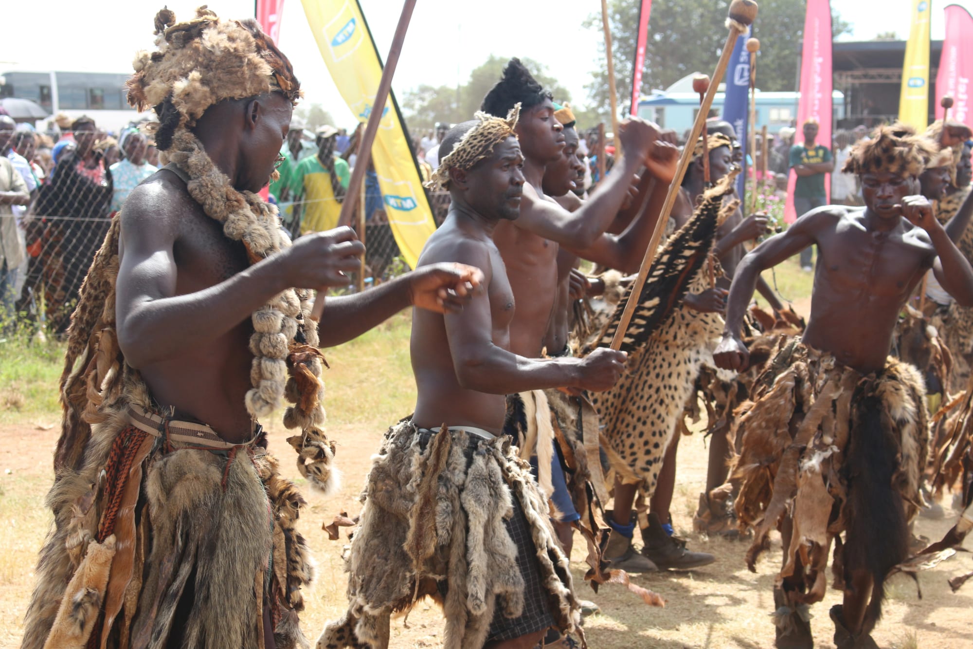 Men wearing animal-skin skirts, fur headbands and leopard-skin regalia dance with raised arms and wooden sticks, with a crowd and banners behind them