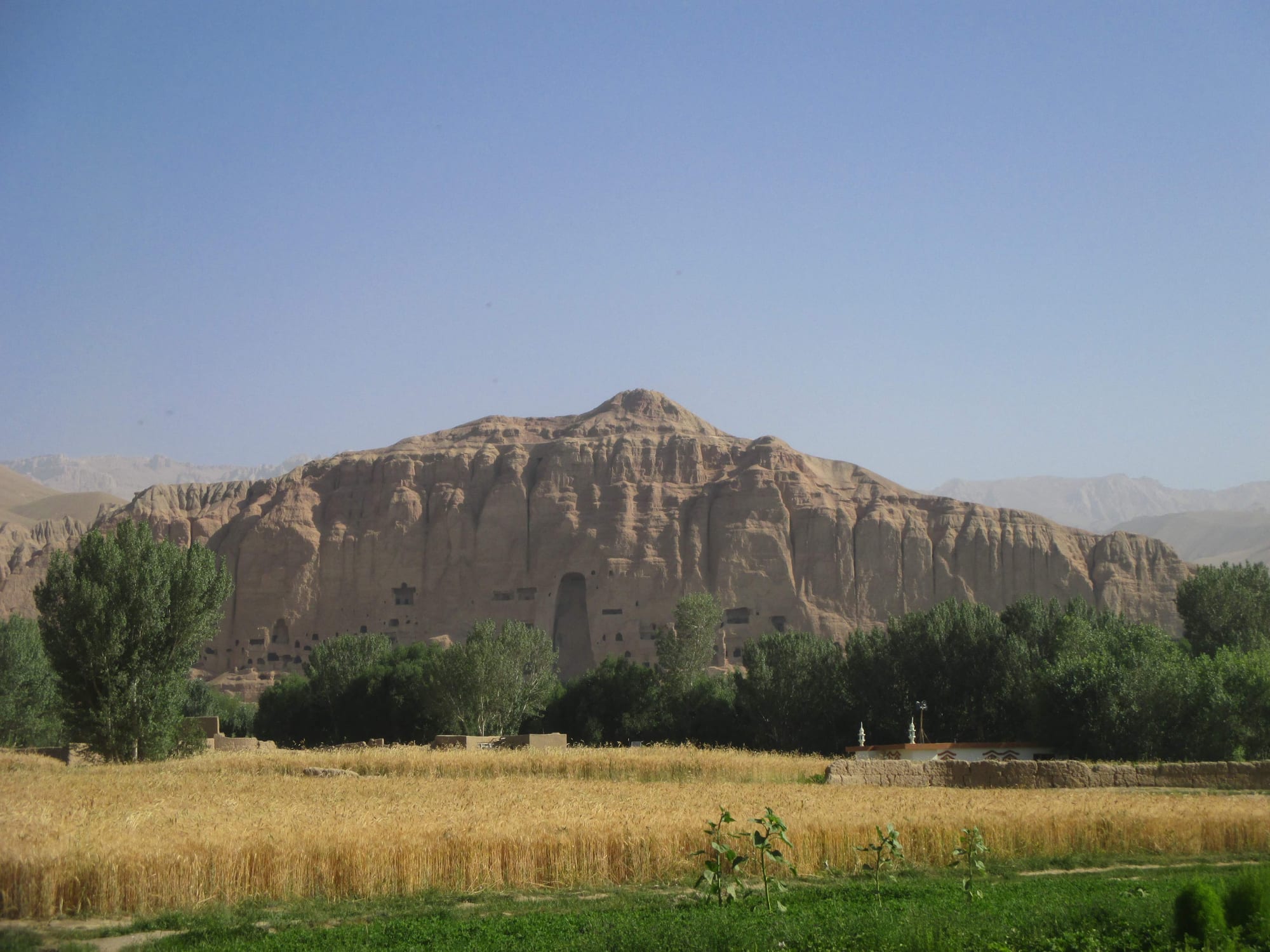 A ripe wheat field and poplar trees below a long sandstone cliff with caves and a tall empty niche