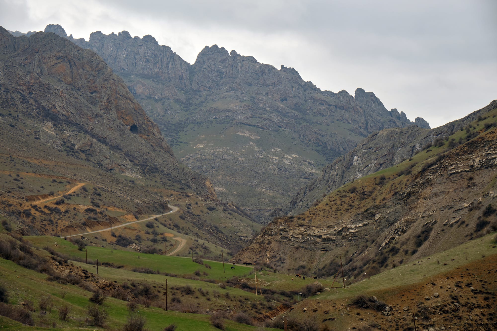 Jagged grey mountain ridges above a green valley with a winding road, power lines and grazing horses