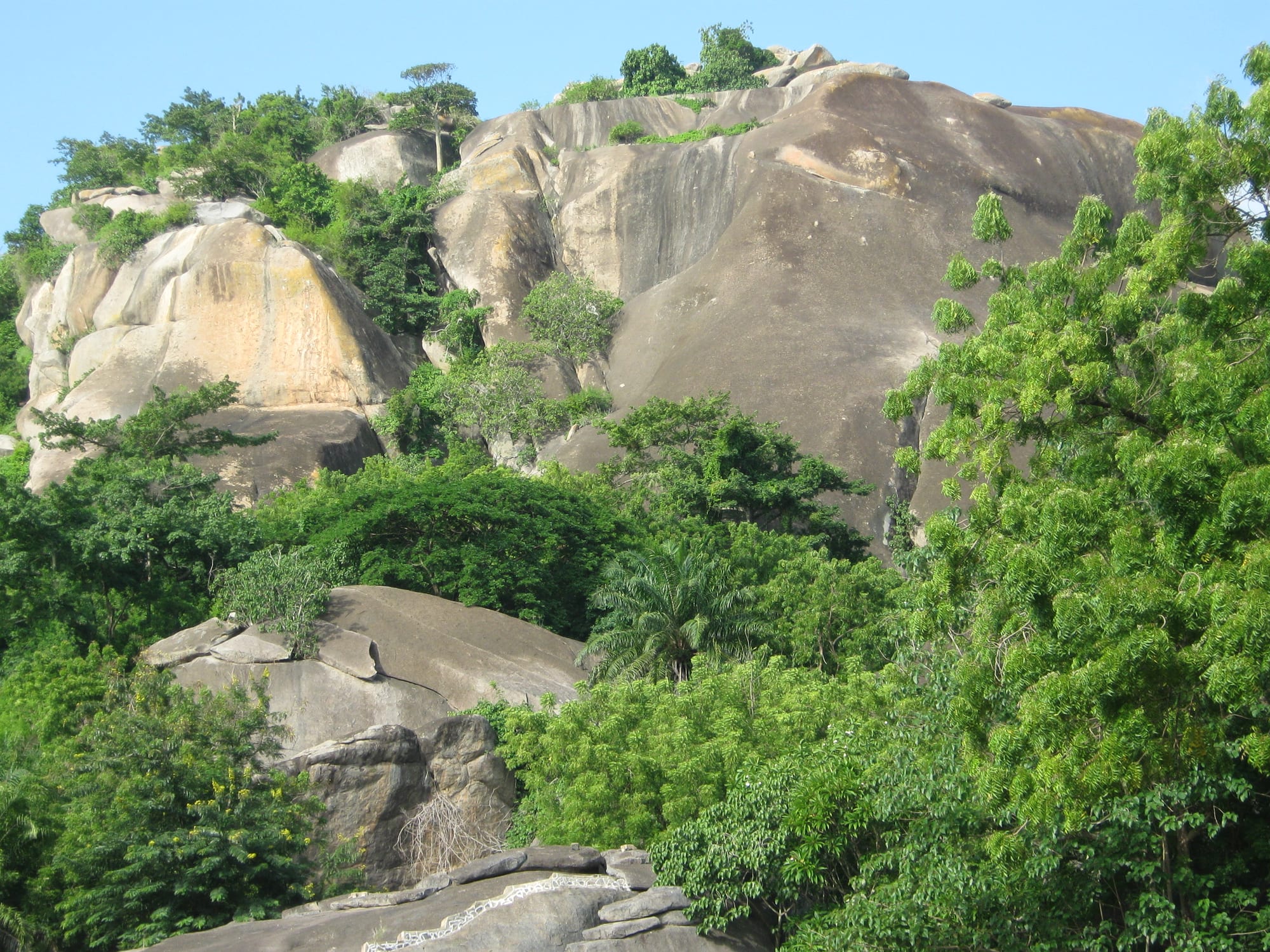 Rounded bare granite domes rising above thick green trees and shrubs under a clear blue sky