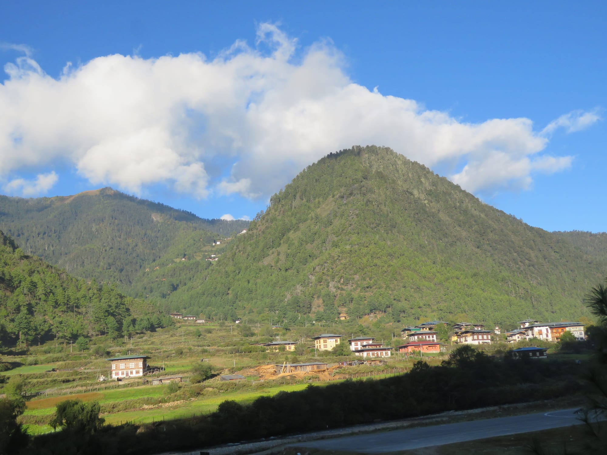 Traditional Bhutanese houses scattered across green fields at the foot of a steep forested hill, under a blue sky with a large white cloud