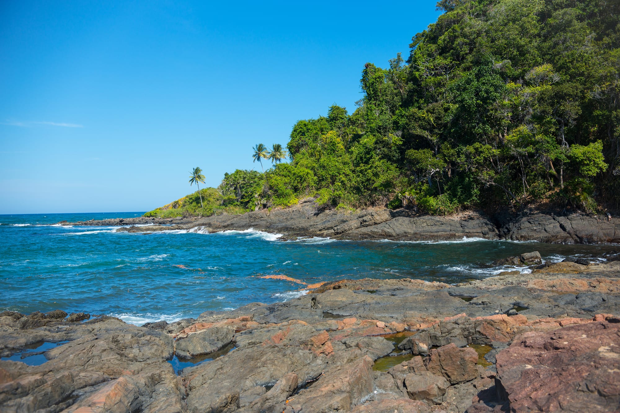 Dark rocks in the foreground and blue sea breaking against a rocky point covered in dense green forest and a few palms, under a clear sky