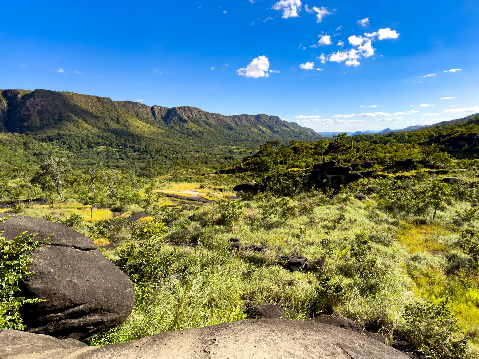 Green cerrado grassland and dark boulders below a long forested ridge under a bright blue sky