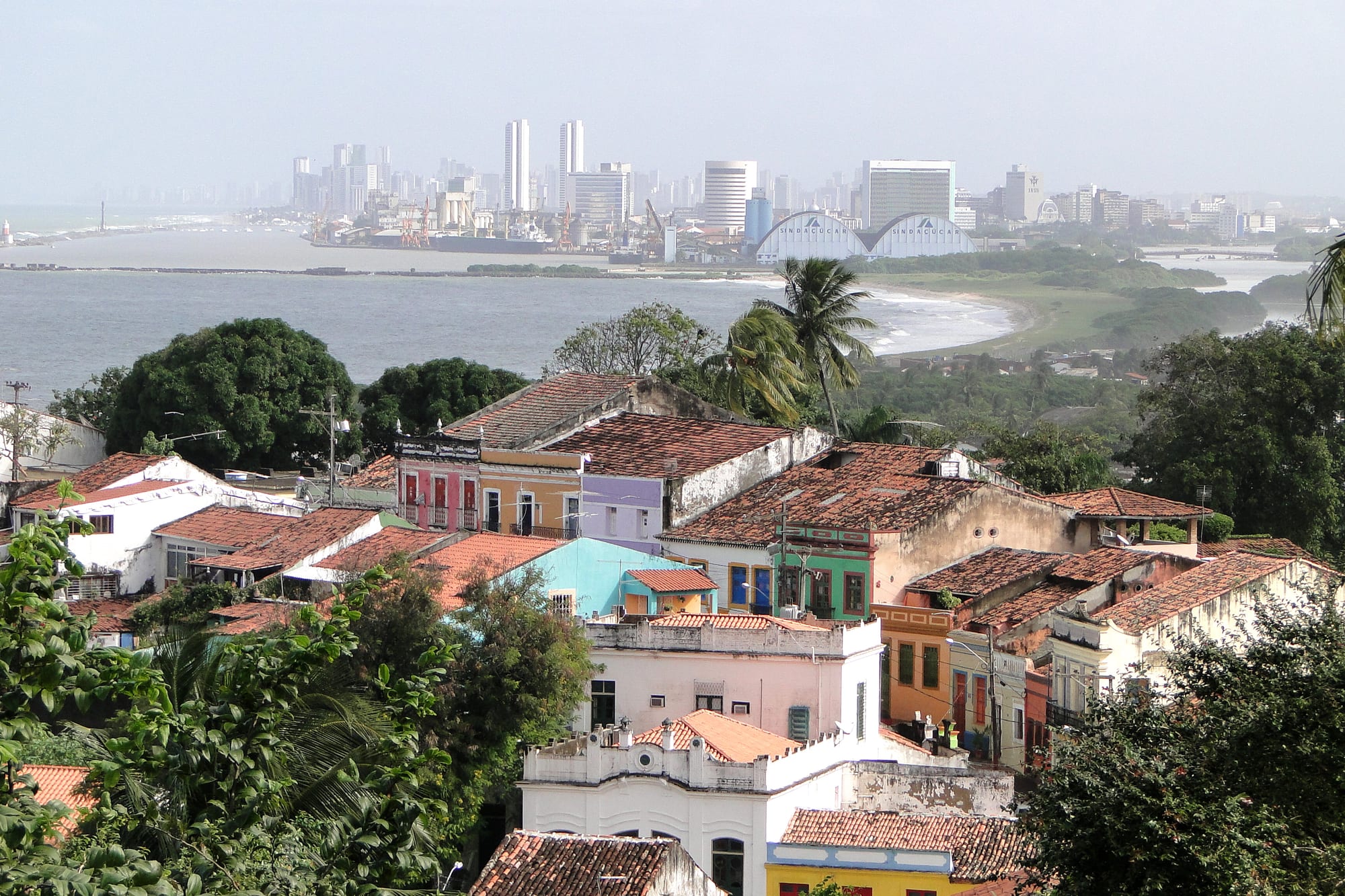 Colourful tiled-roof houses of old Olinda among palms, with the sea and Recife's tower blocks in the distance