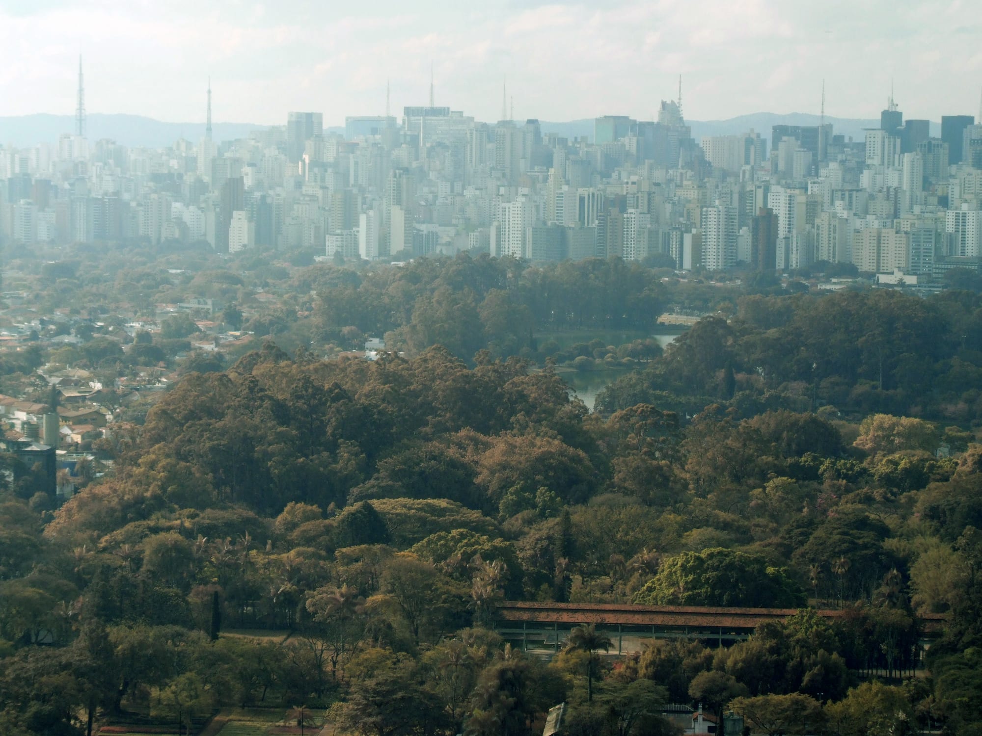 The dense tree canopy of Ibirapuera Park with a lake, and a wall of São Paulo high-rises in haze behind