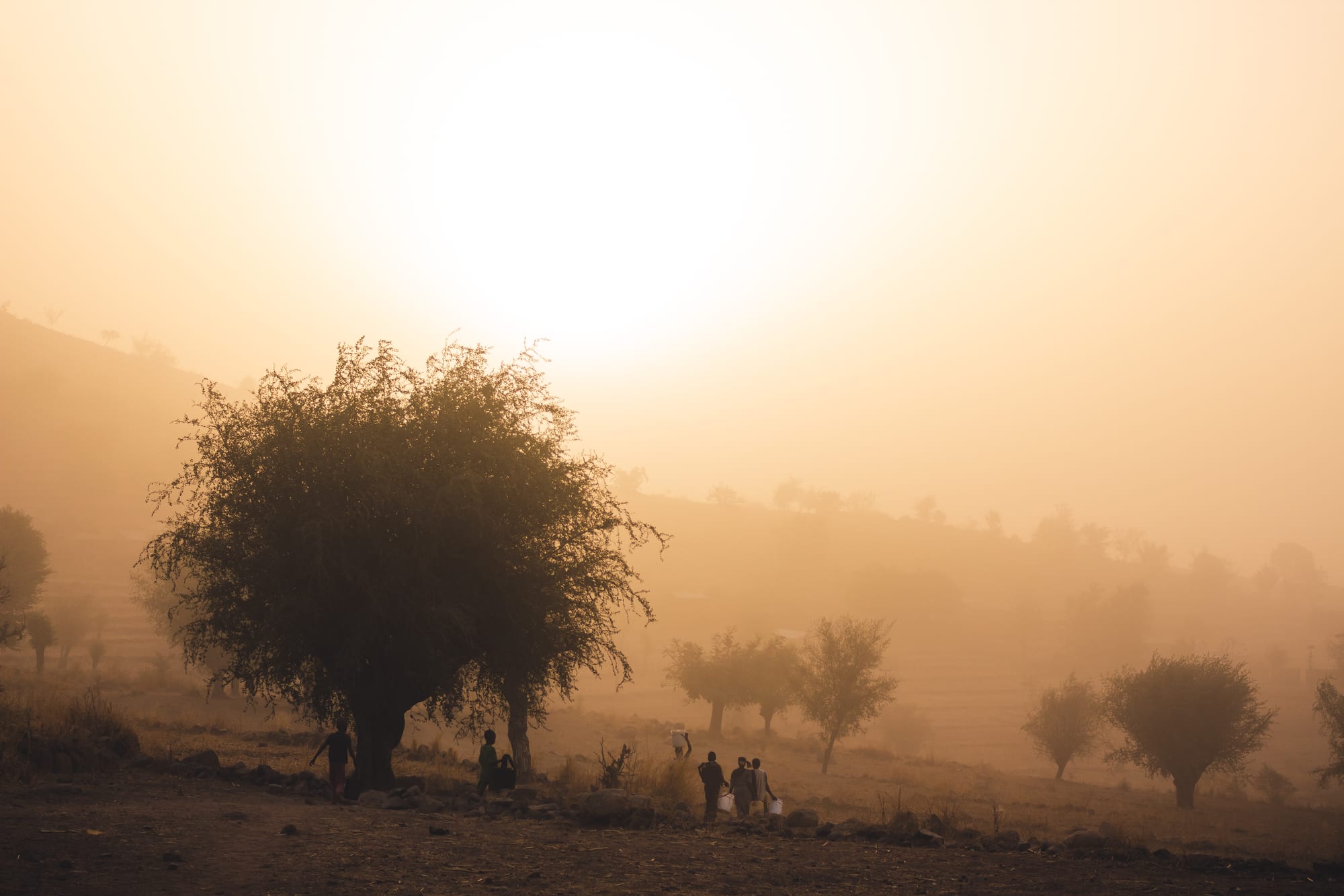 A hazy golden sunrise over dry hills with a large tree in silhouette and small figures carrying water