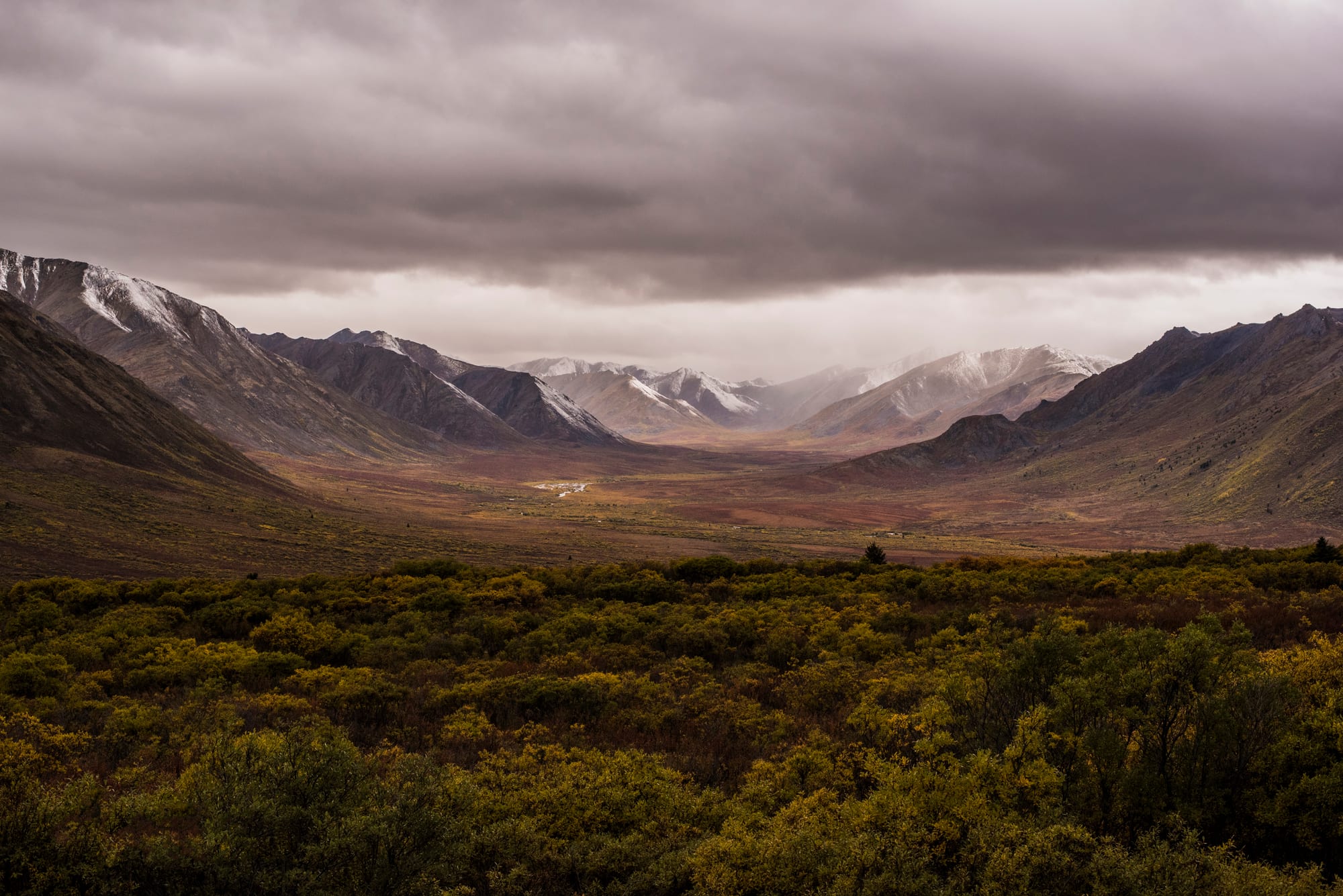 A wide valley of autumn shrubs leading to snow-dusted grey mountains under heavy dark cloud