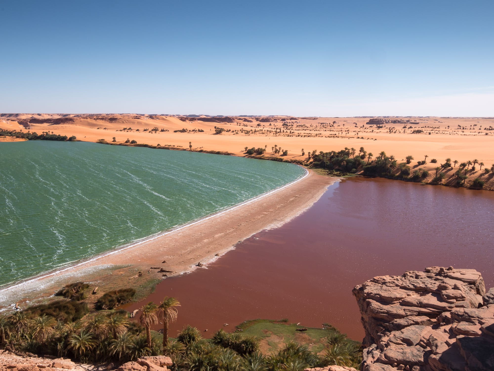 A green lake and a red lake divided by a narrow sand bar, with palm trees and orange desert dunes beyond