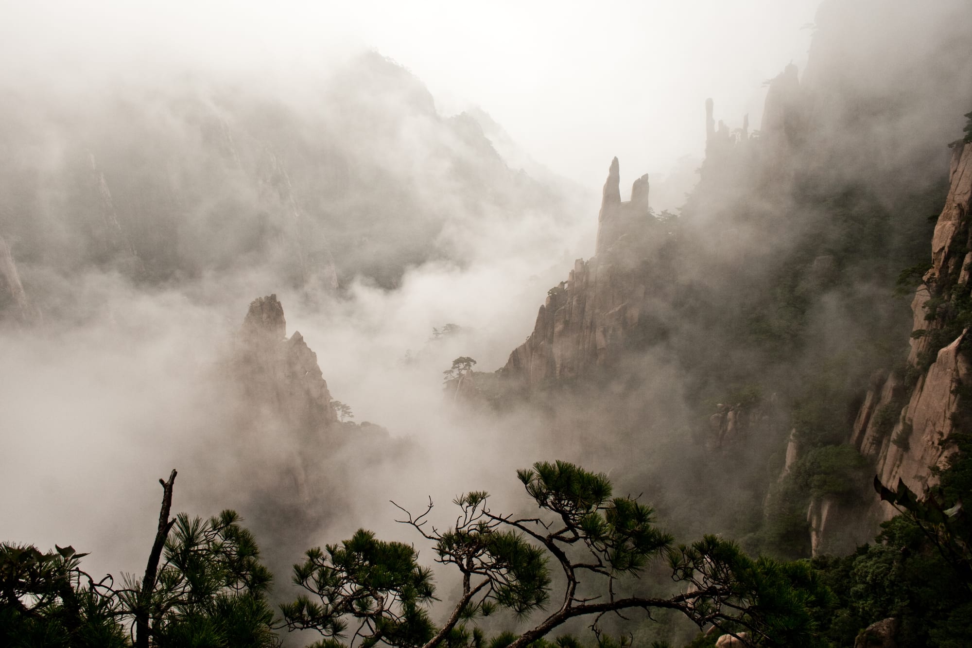 Granite pinnacles rising out of drifting mist and cloud, with twisted pine branches in the foreground