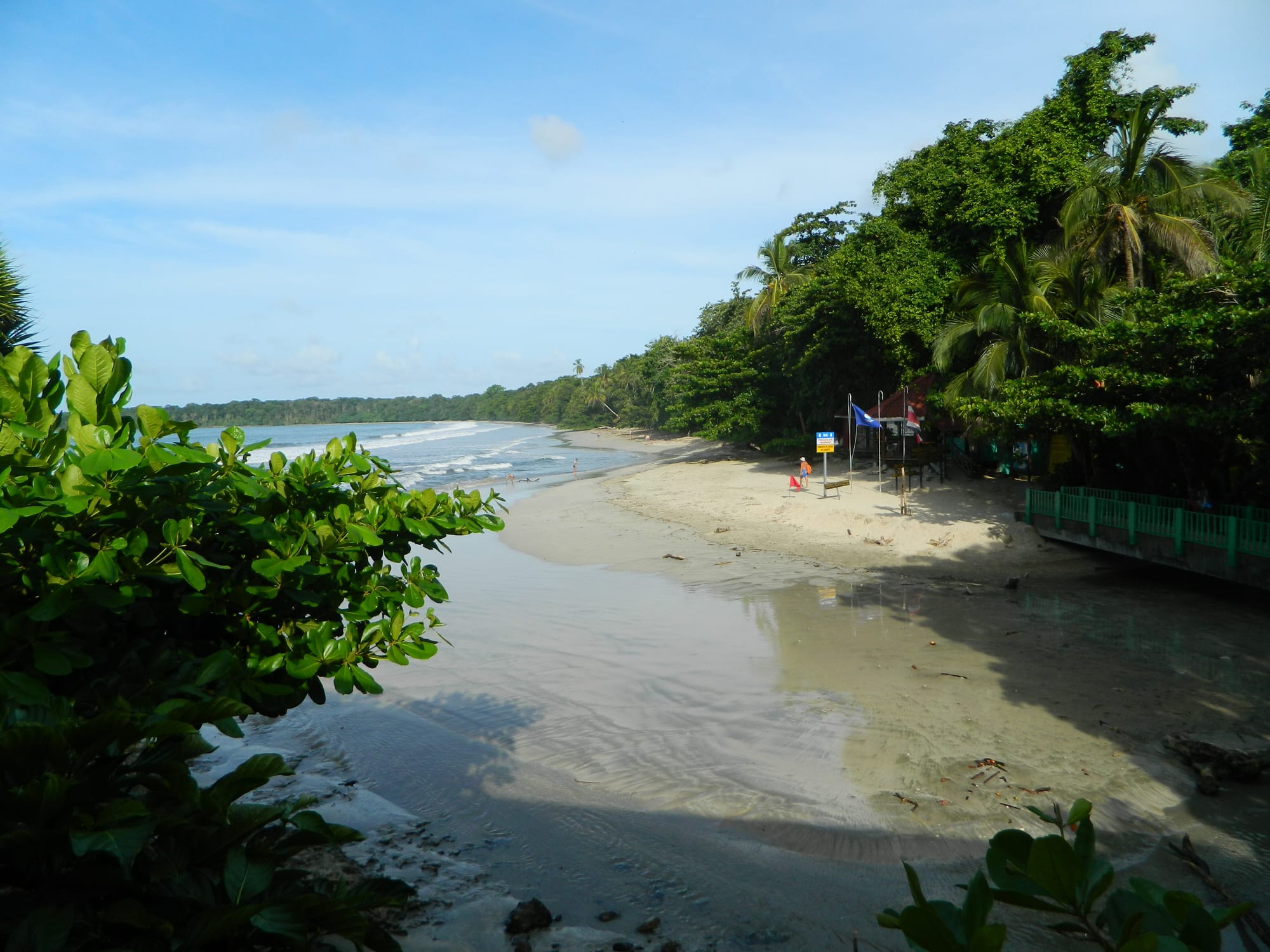 A curving sandy beach with gentle surf, backed by palms and thick green forest, seen through leaves on a sunny day