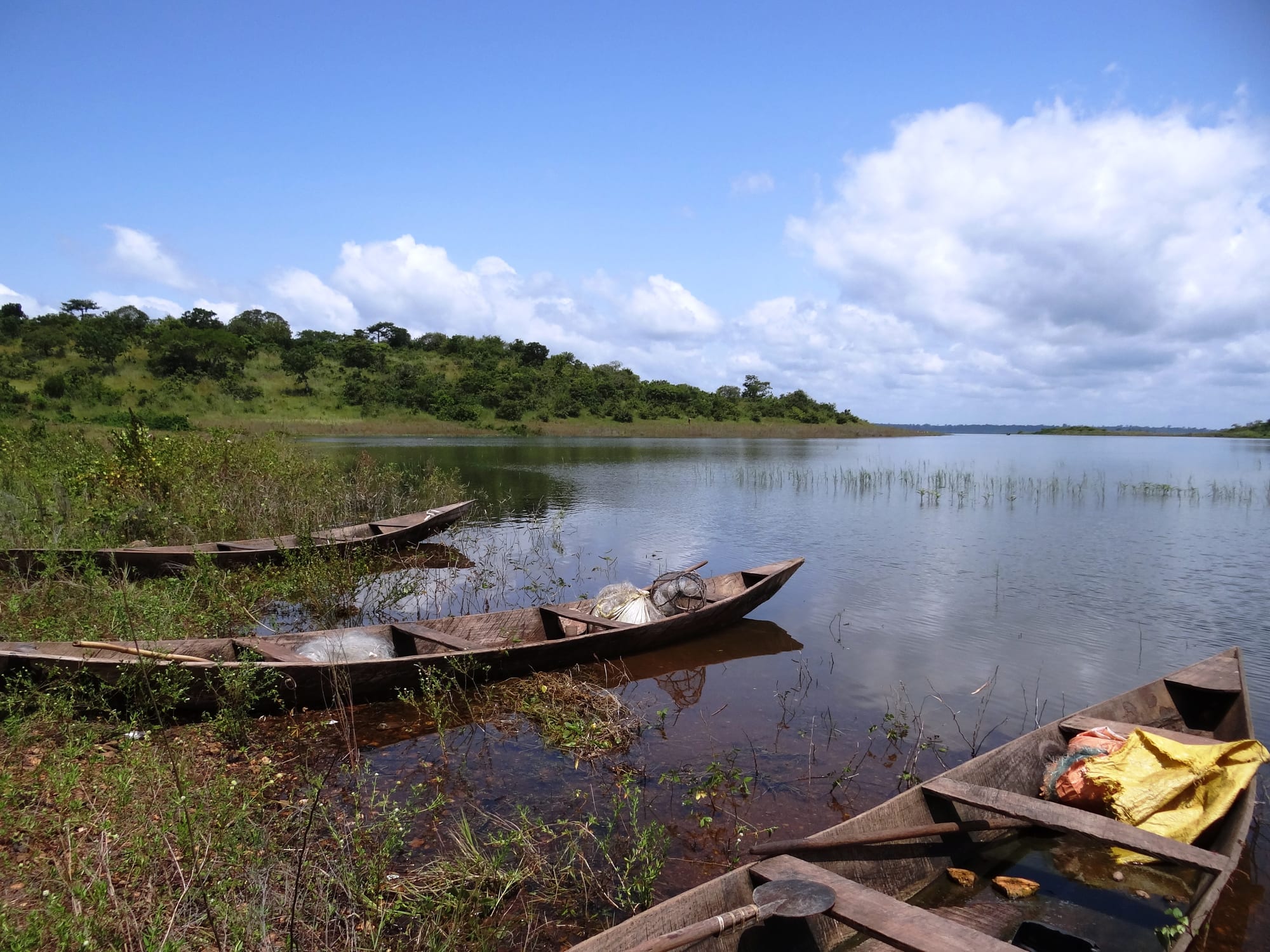 Wooden fishing canoes with nets moored in reeds at the edge of a calm lake, with wooded low hills and a blue sky with white clouds