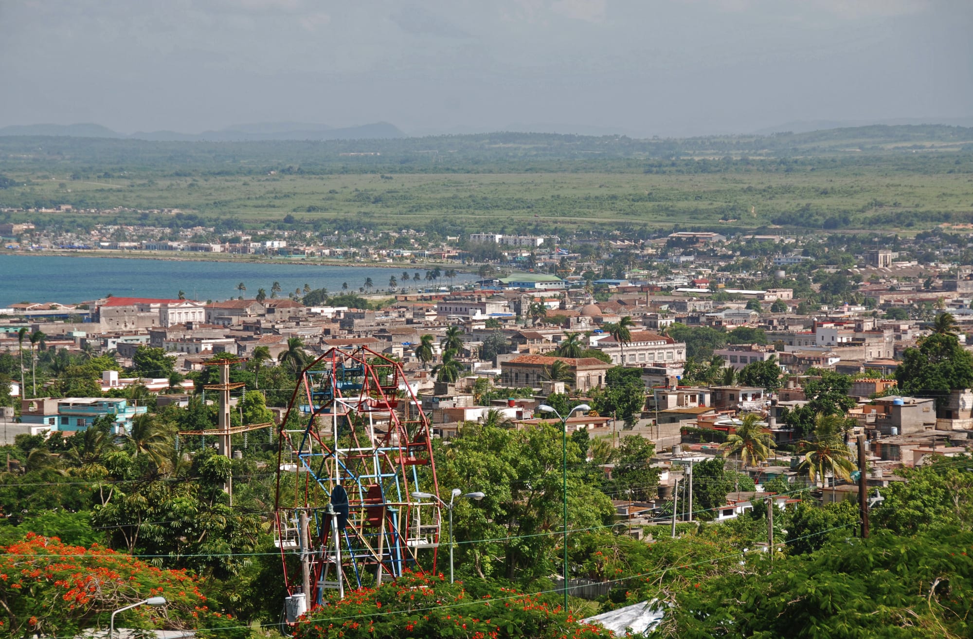 Low rooftops of a Cuban city among palm trees and flowering trees, with a blue bay and flat green countryside beyond