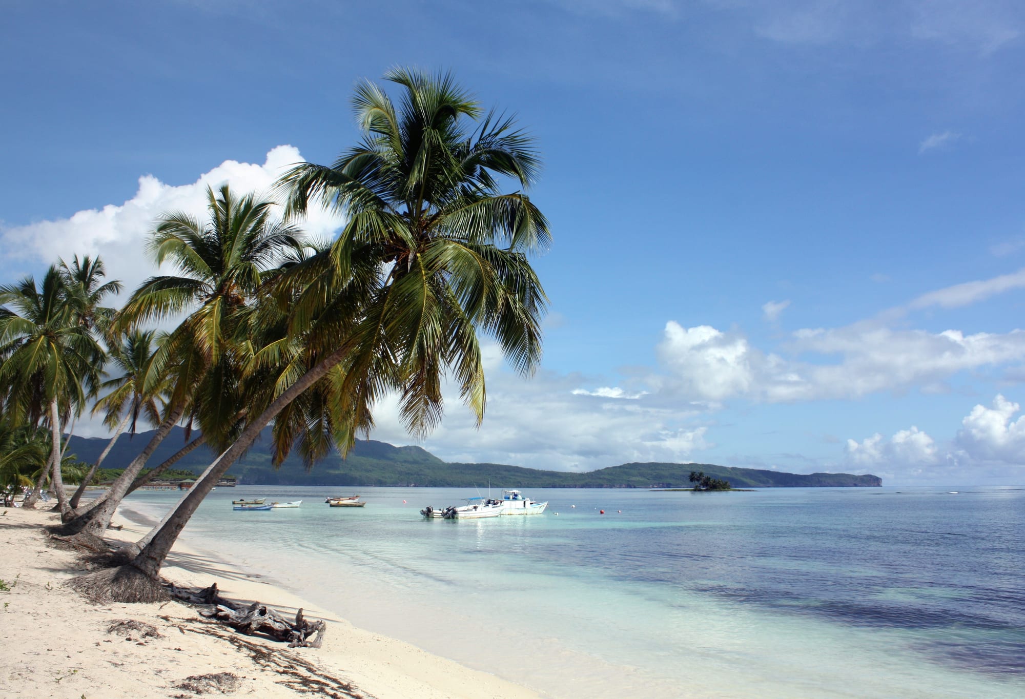 Leaning coconut palms over a white-sand beach and calm turquoise water, with small boats and green hills beyond