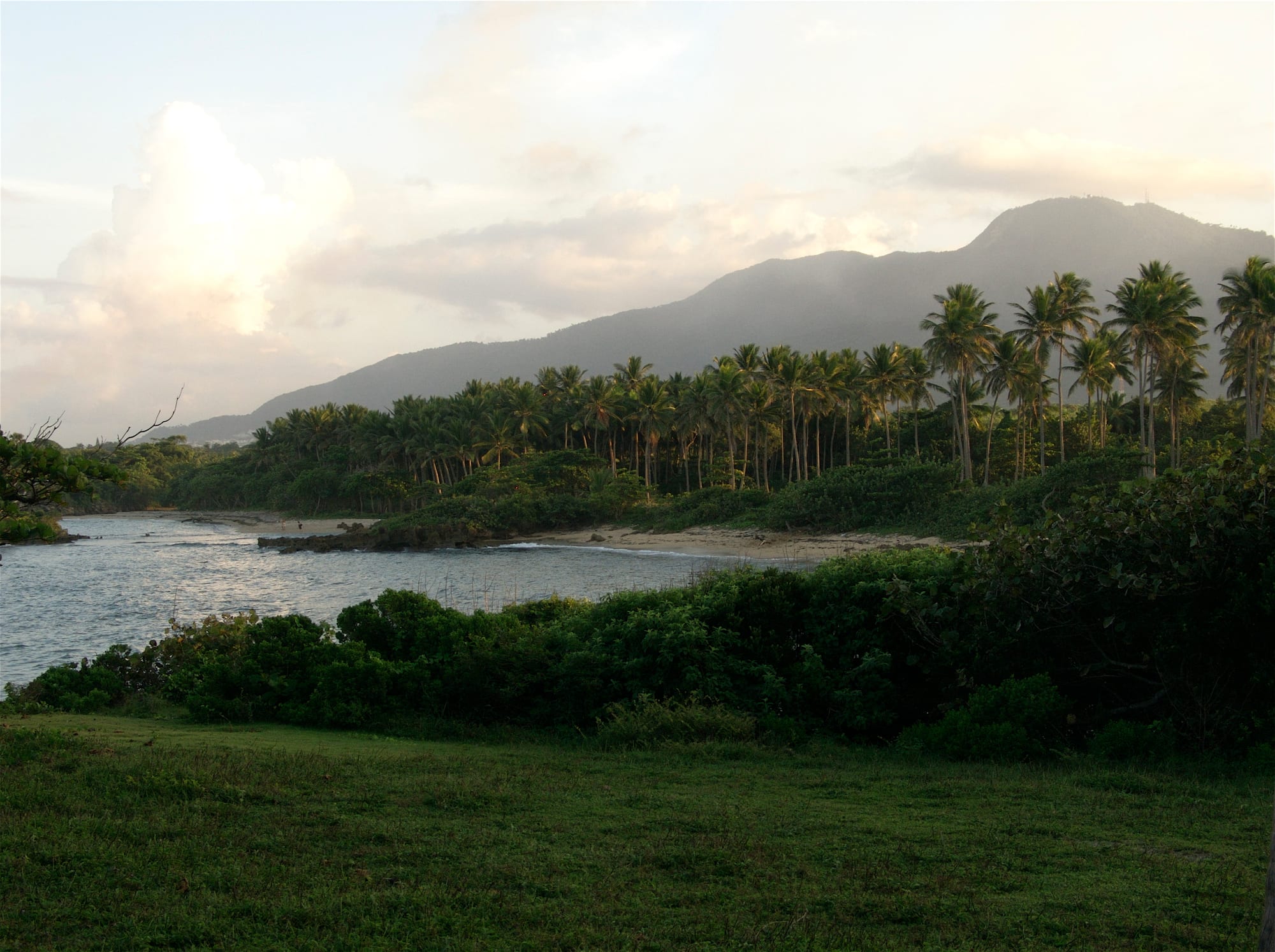 A calm river mouth and sandy cove backed by a coconut palm grove, with a large green mountain behind under soft evening light