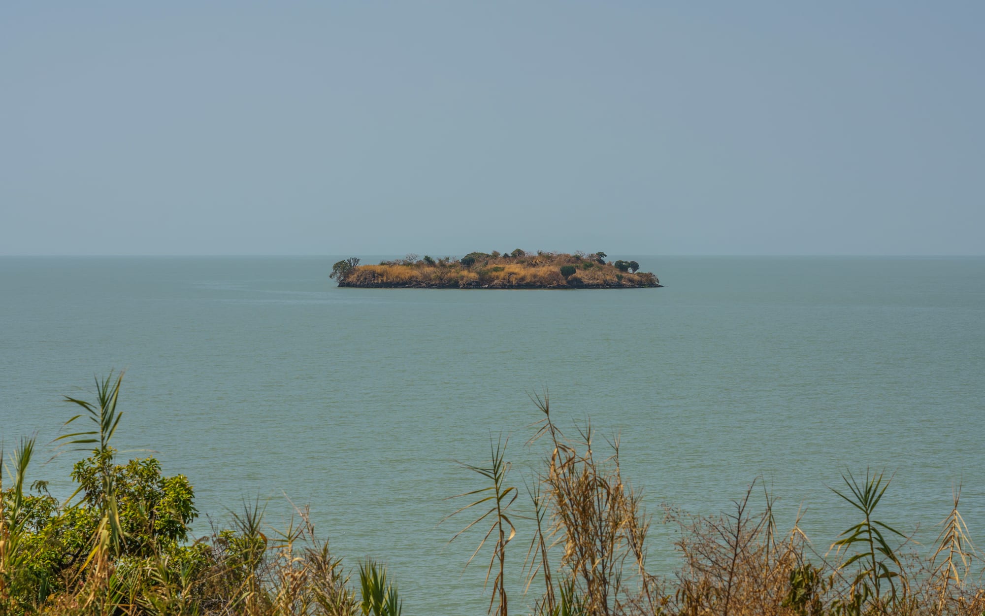 A small wooded island in the calm grey-green water of Lake Tana, with reeds and bushes in the foreground