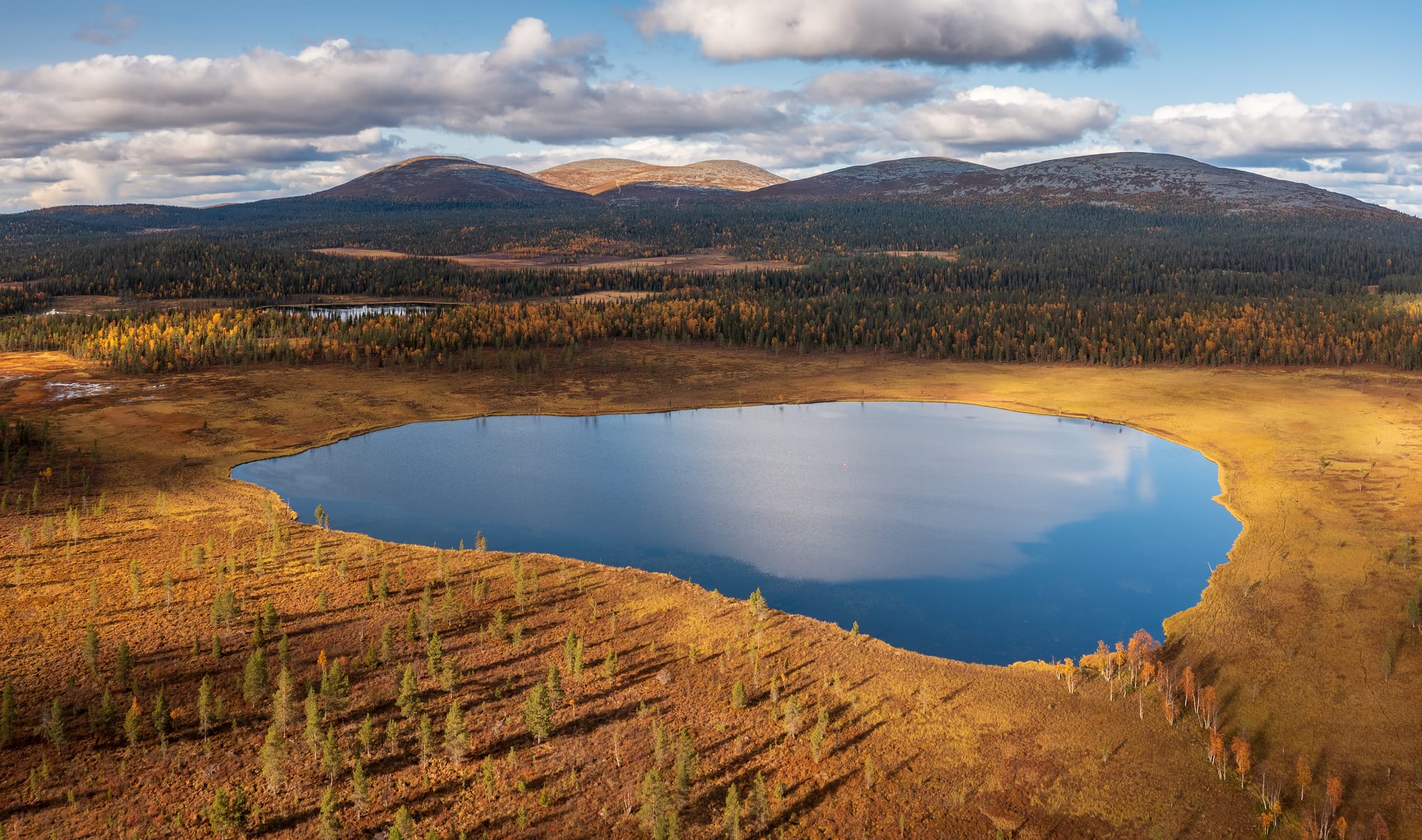 Aerial view of a round blue bog lake in golden autumn marshland, with forest and bare rounded fells behind